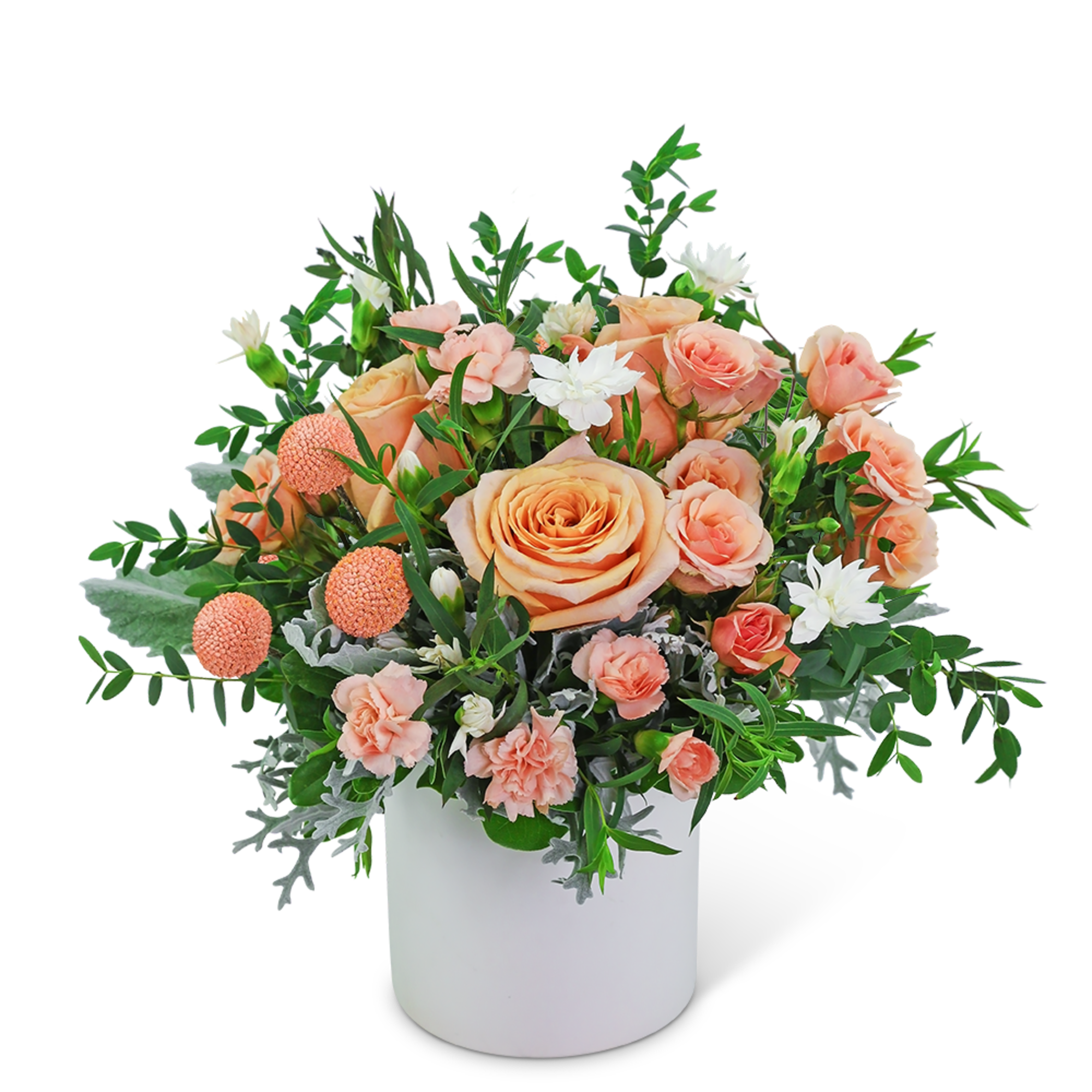 Peach roses and carnations arranged in a white vase