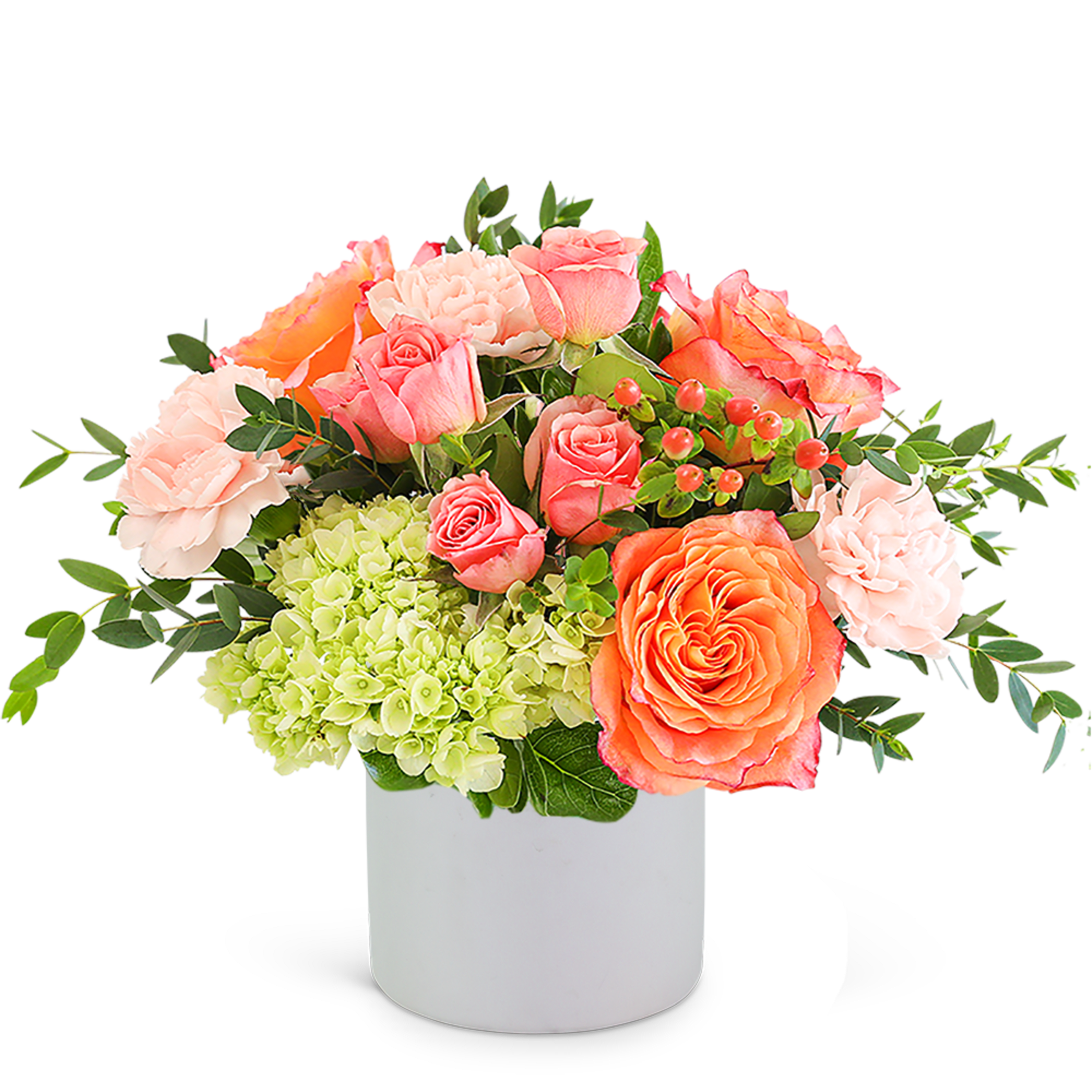 Coral and pink roses with pale green hydrangeas in a white vase