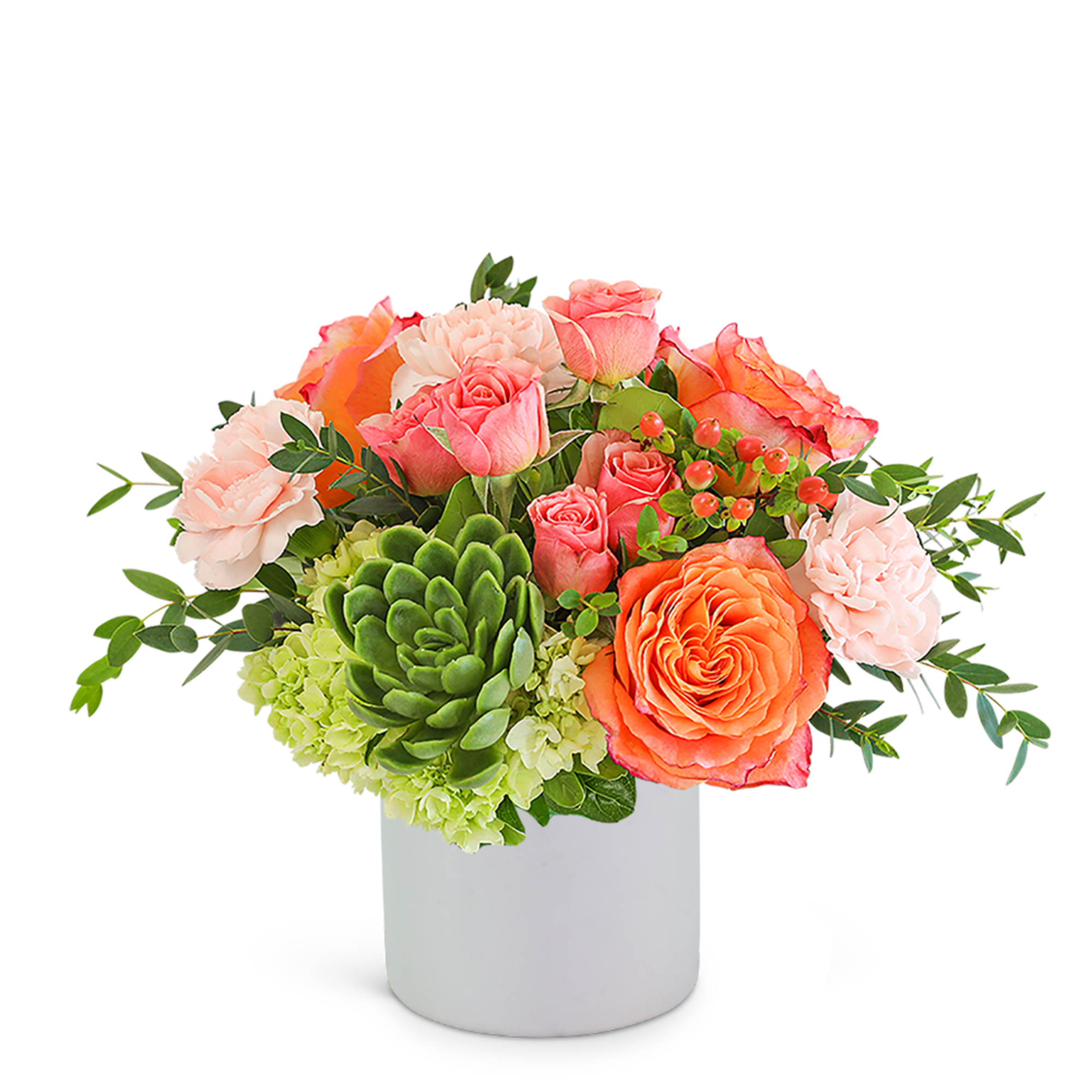 Coral and pink roses with green hydrangea in a white vase