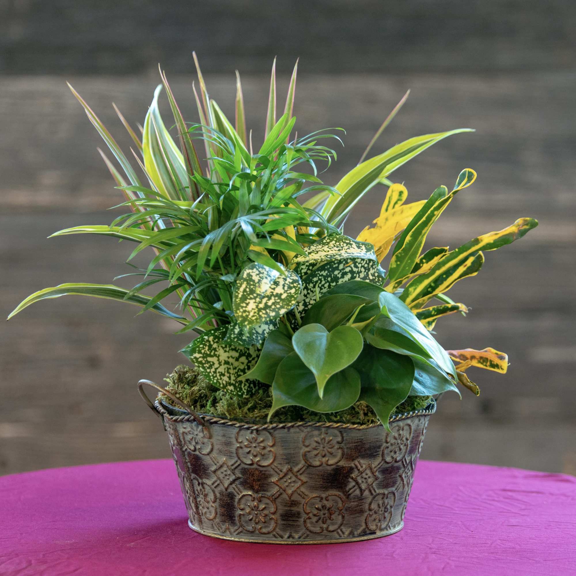 Mixed green and variegated foliage plants in an embossed metal oval container