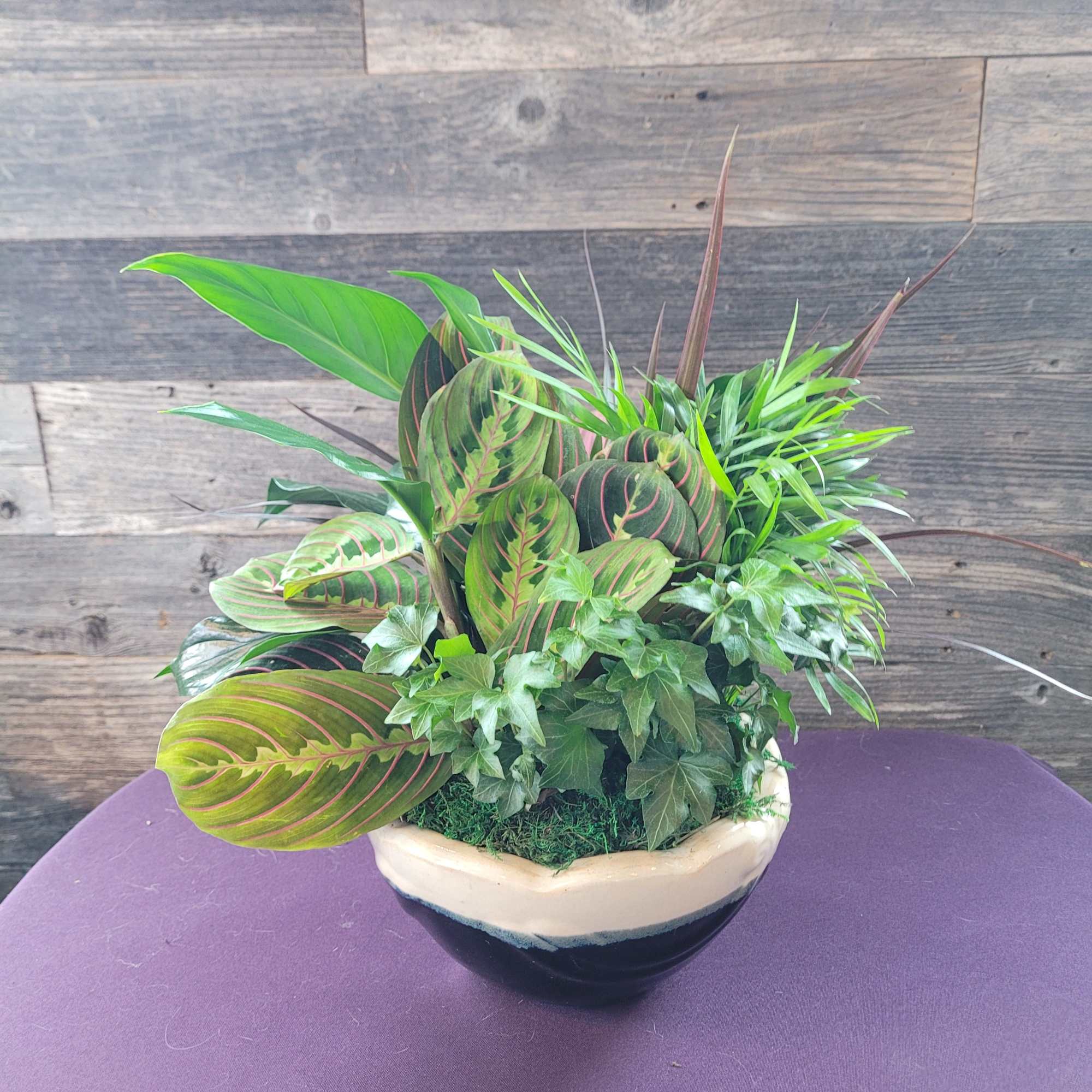  A lush mix of assorted green plants arranged together in an
