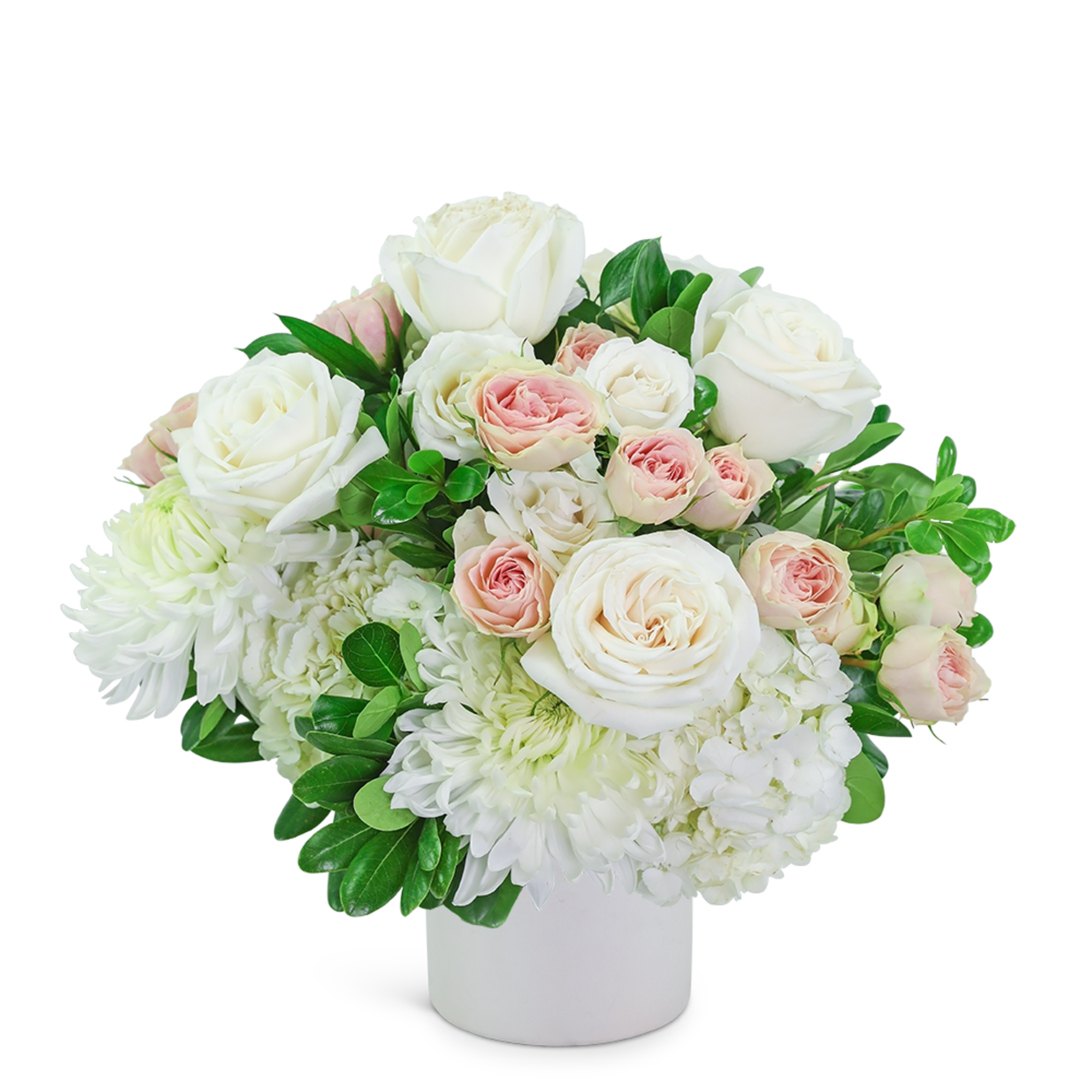 White and blush roses arranged in a white vase