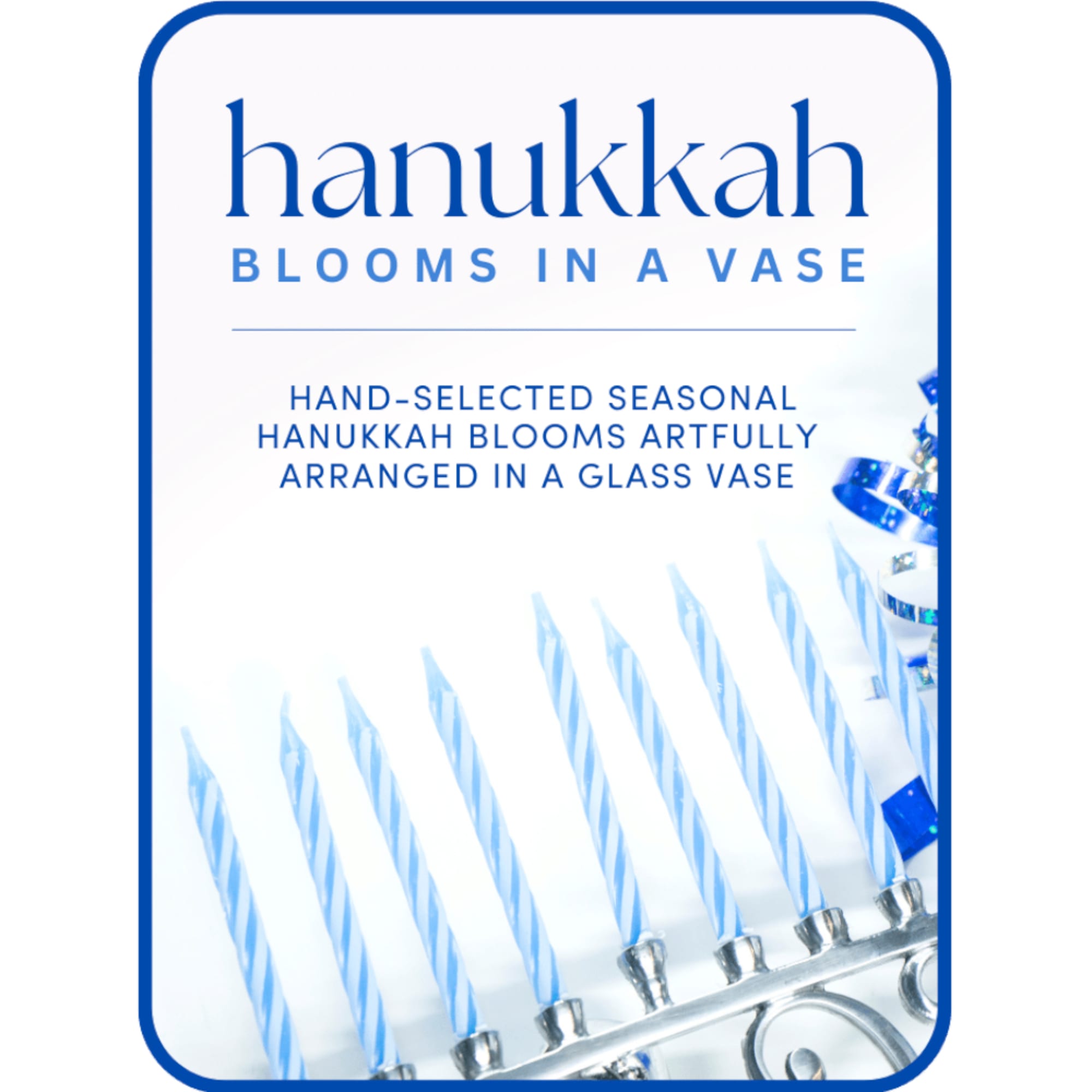 Hanukkah blooms in a vase with blue candles and ribbon