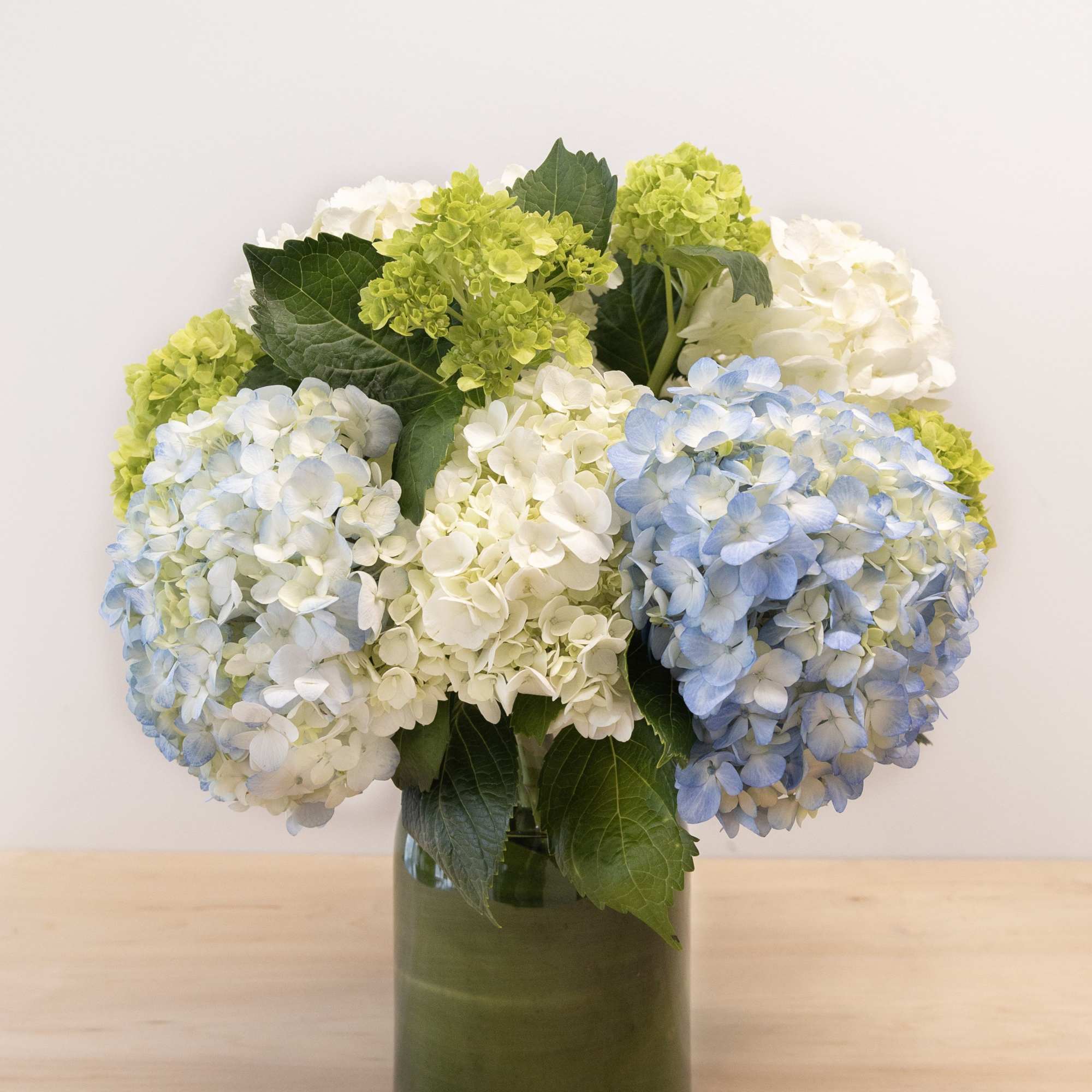 Blue, white, and green hydrangeas in a glass vase