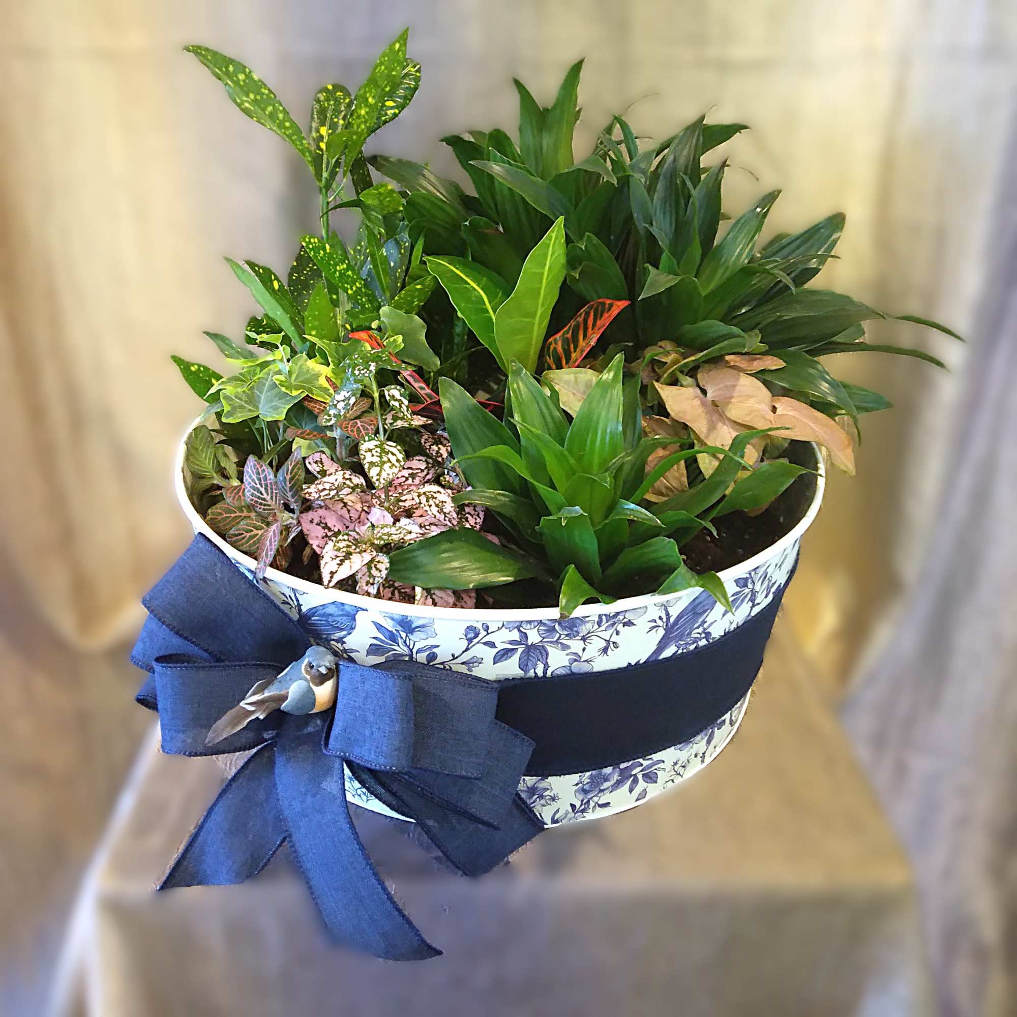 A stately collection of plants that evokes the charm of a grand