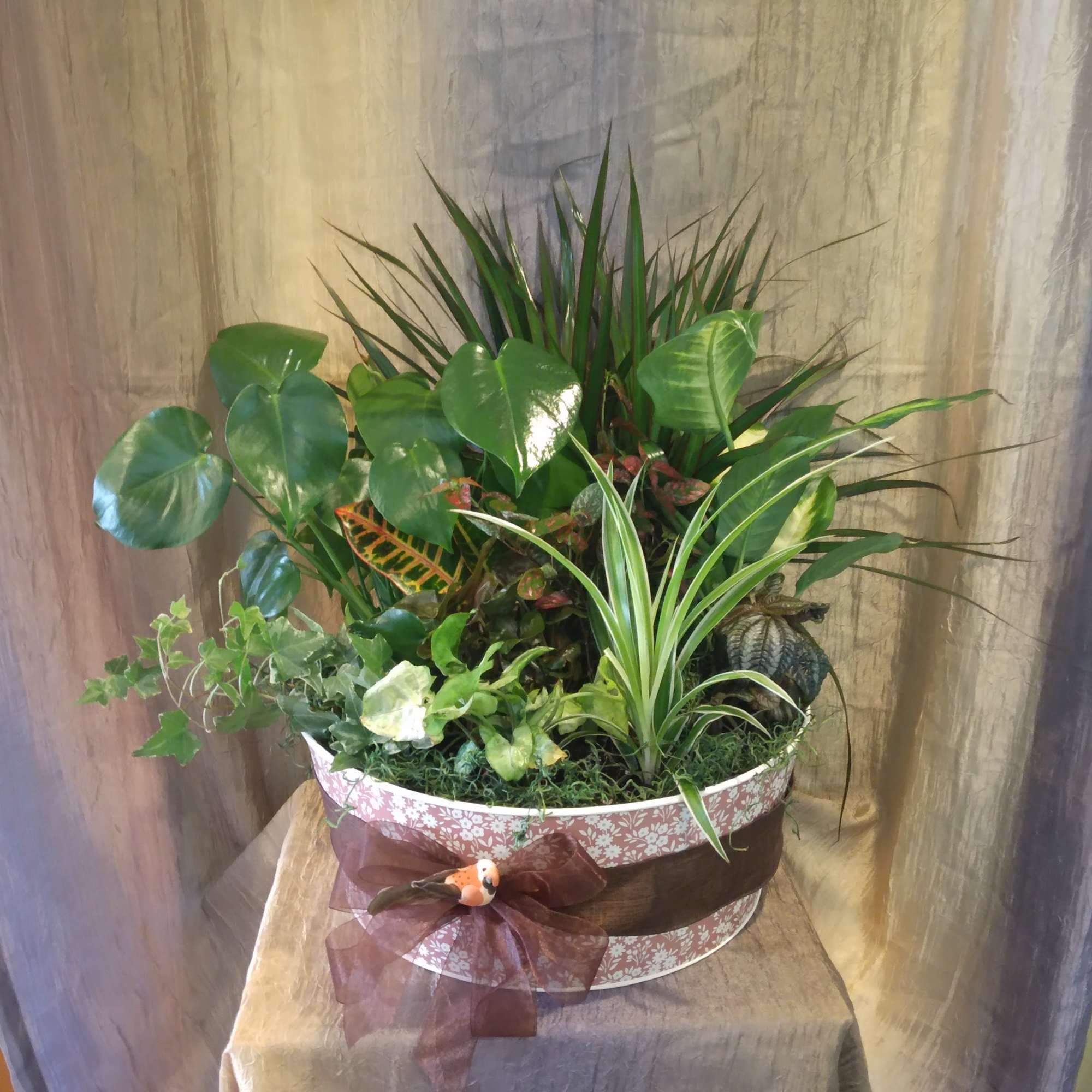 Mixed potted houseplants arranged in a decorative round container with a ribbon