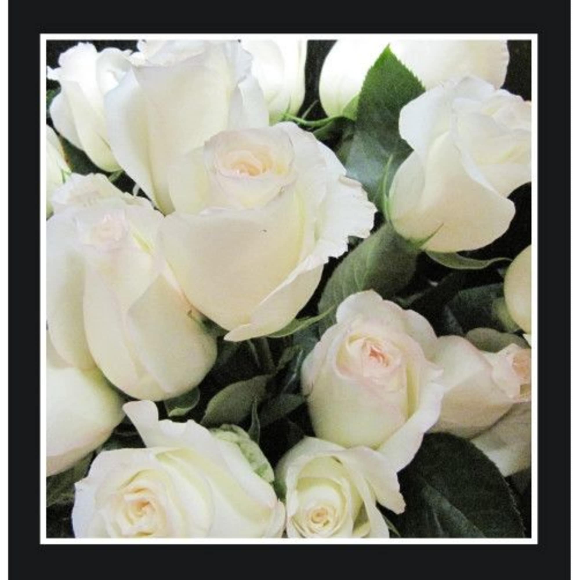 White roses arranged in a close-up bouquet