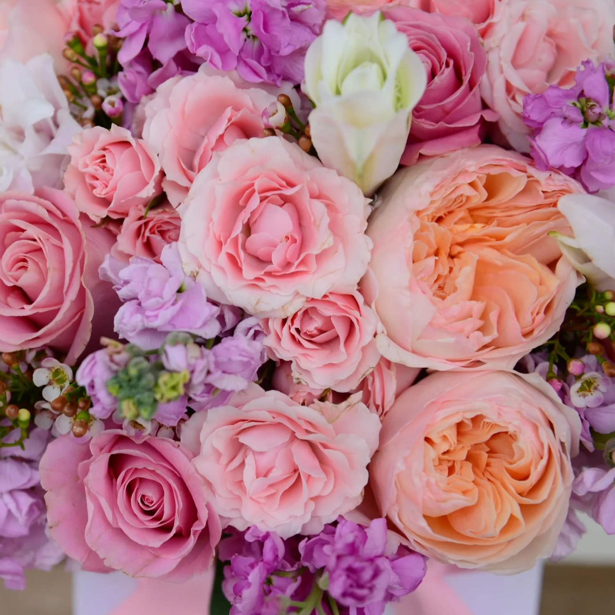 Bouquet of pink and peach roses with lavender flowers