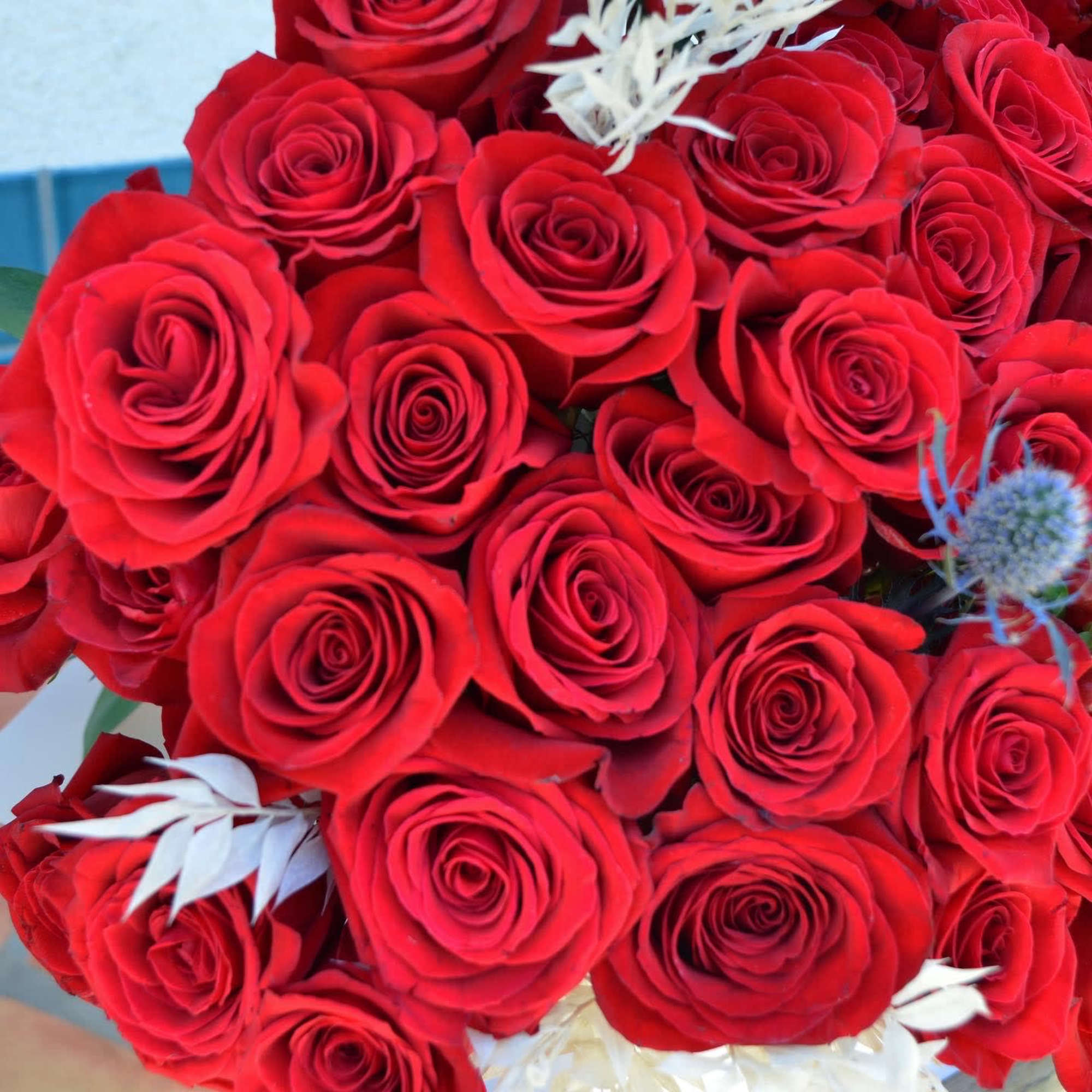 Bouquet of red roses with small white and blue accents