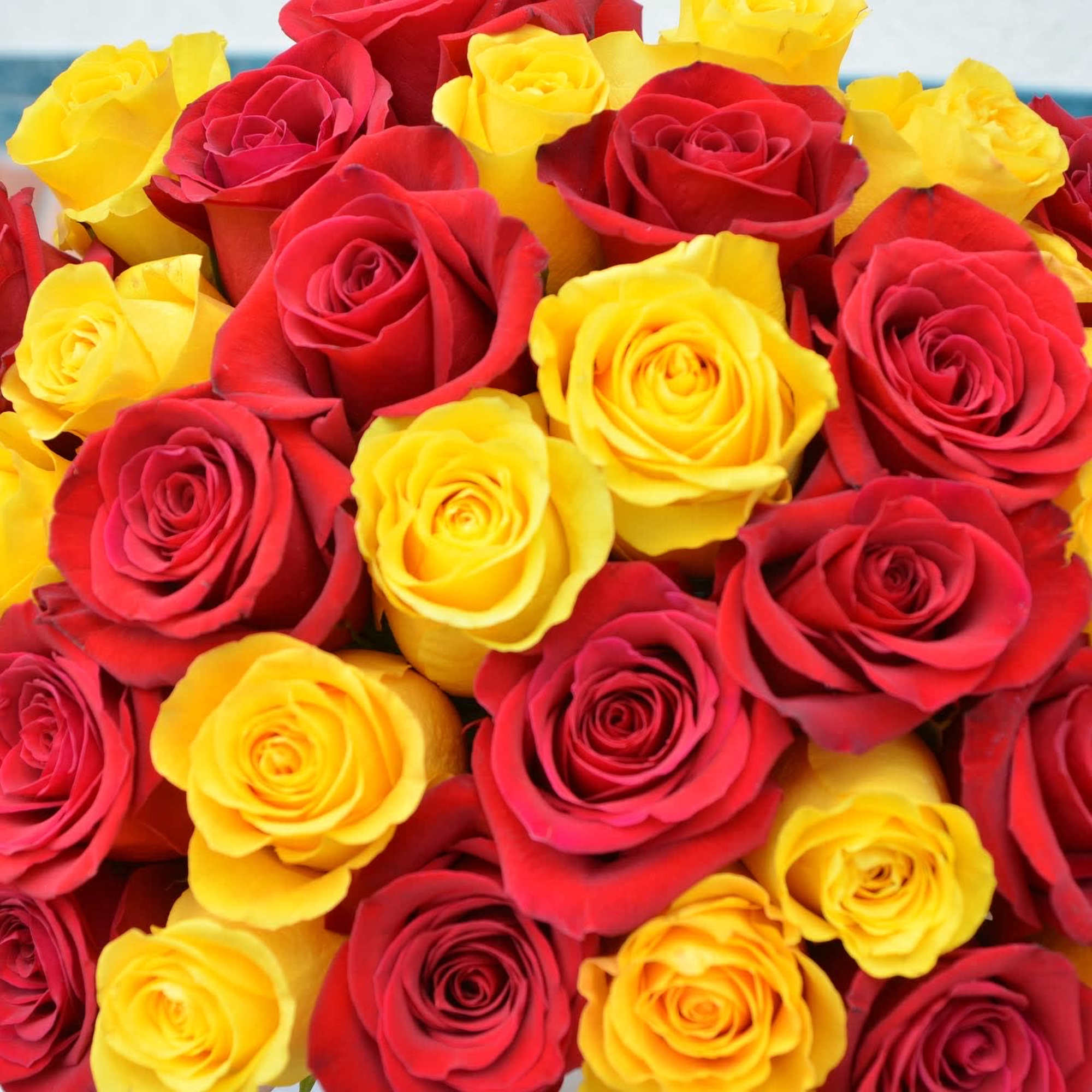 Close-up bouquet of red and yellow roses