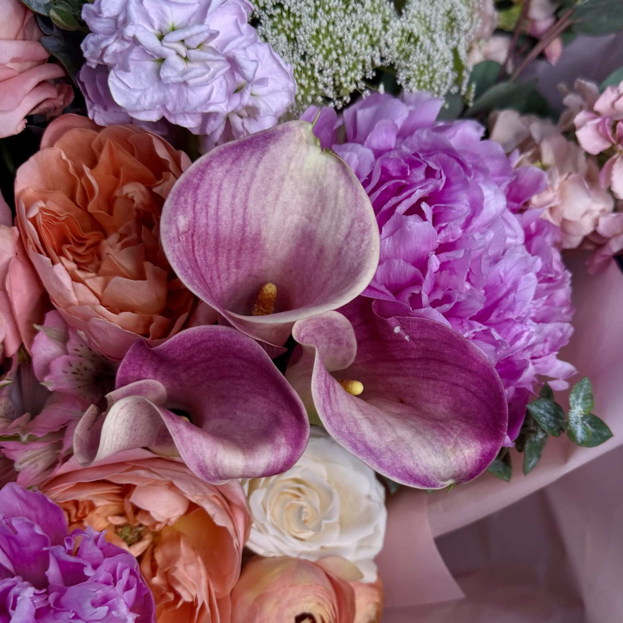 Some flowers simply make you smile. Endorphin is one of them.

Inspired by, photo 2 of 2