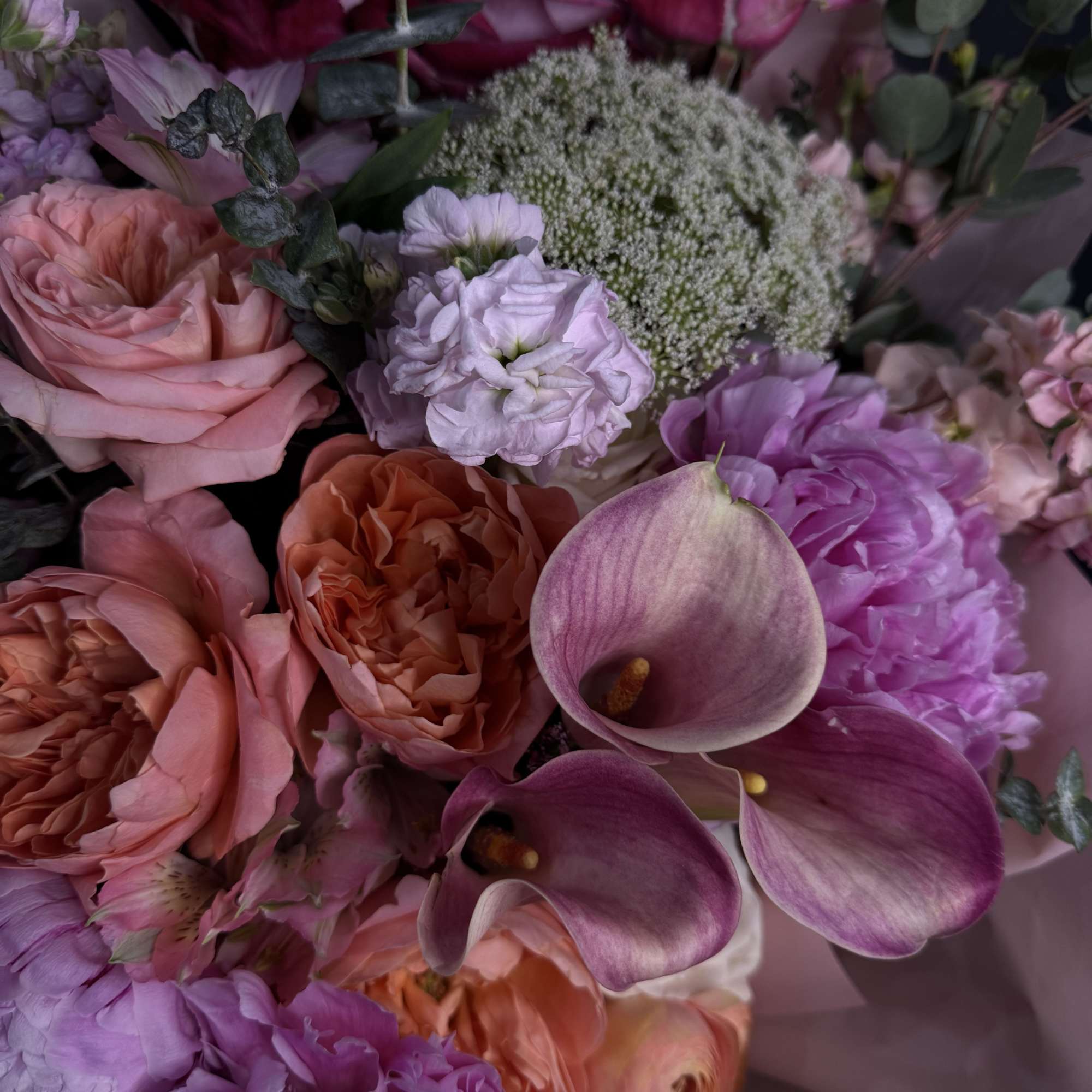 Some flowers simply make you smile. Endorphin is one of them.

Inspired by, photo 2 of 2