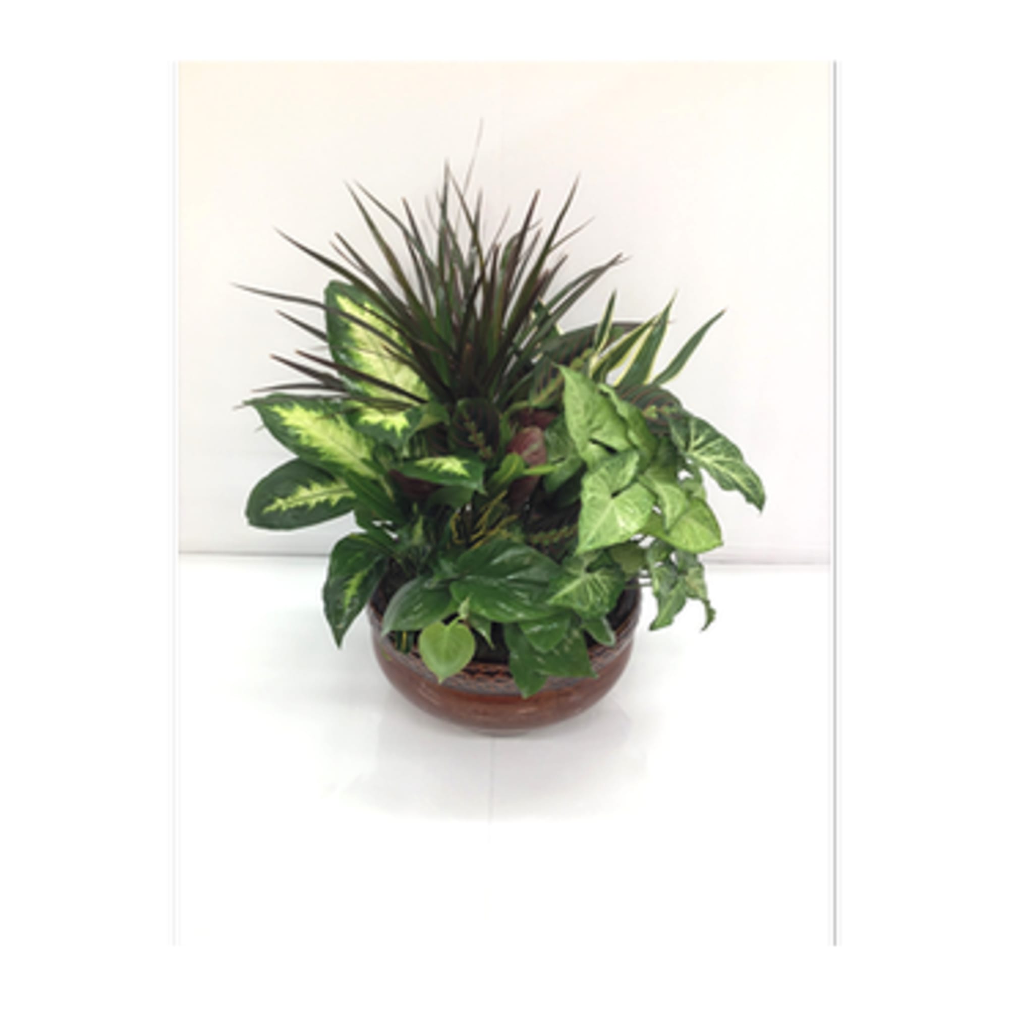 Mixed green houseplants in a round brown bowl planter