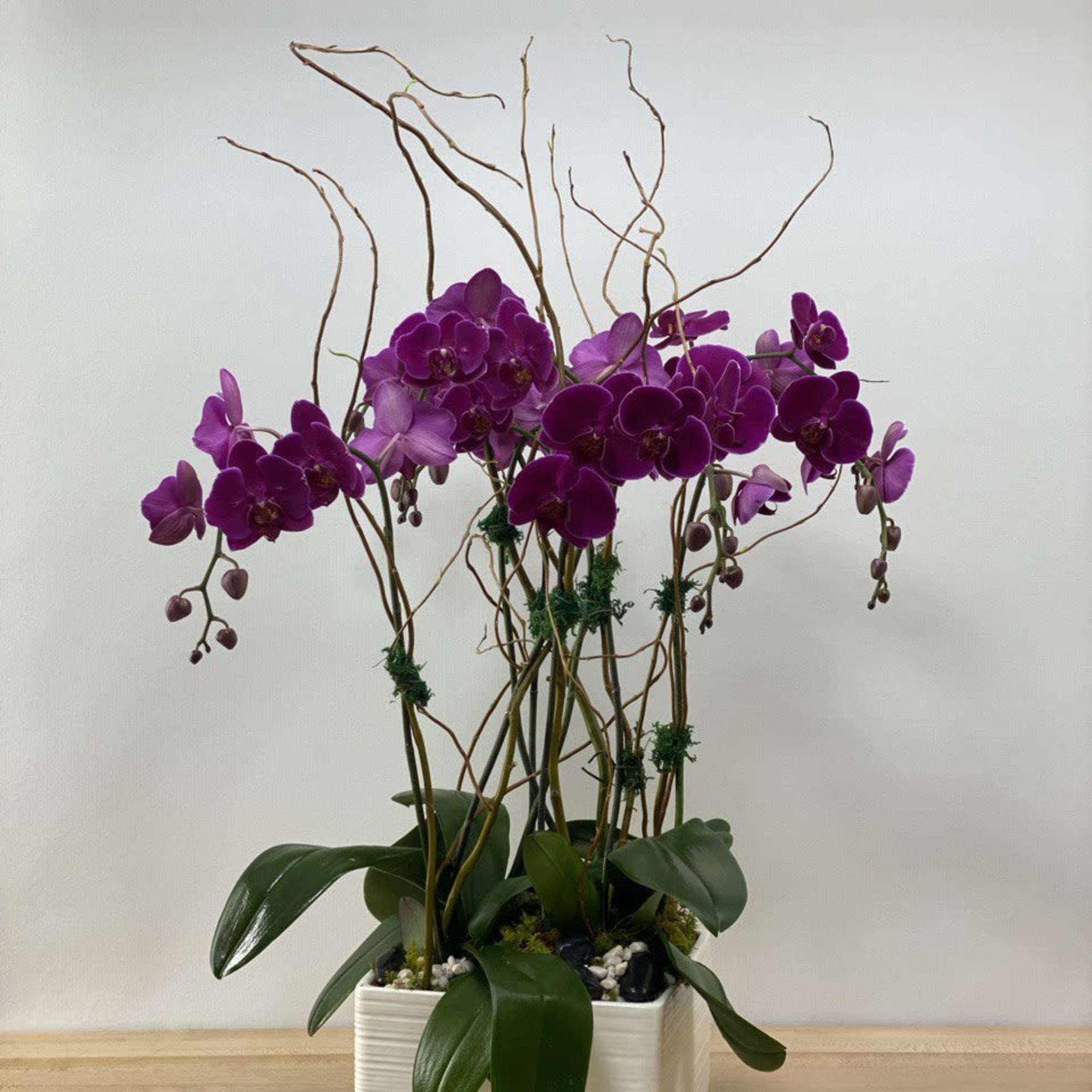 Purple orchids arranged in a white square planter