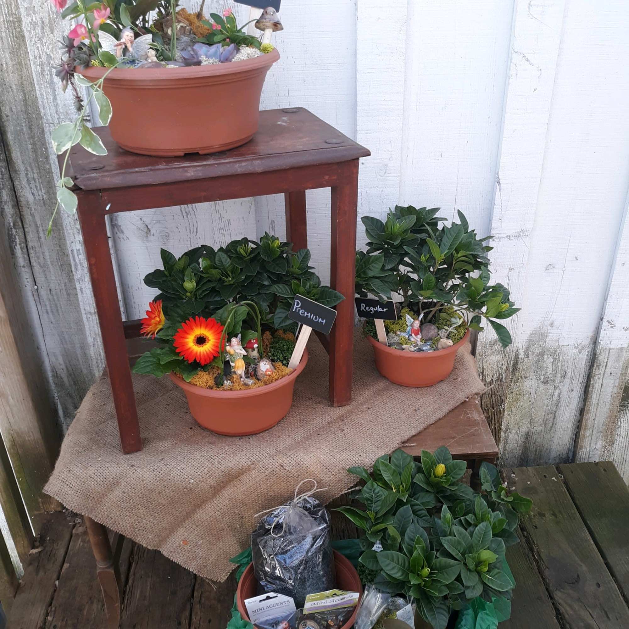 Assorted potted plants and small floral displays on a wooden stand