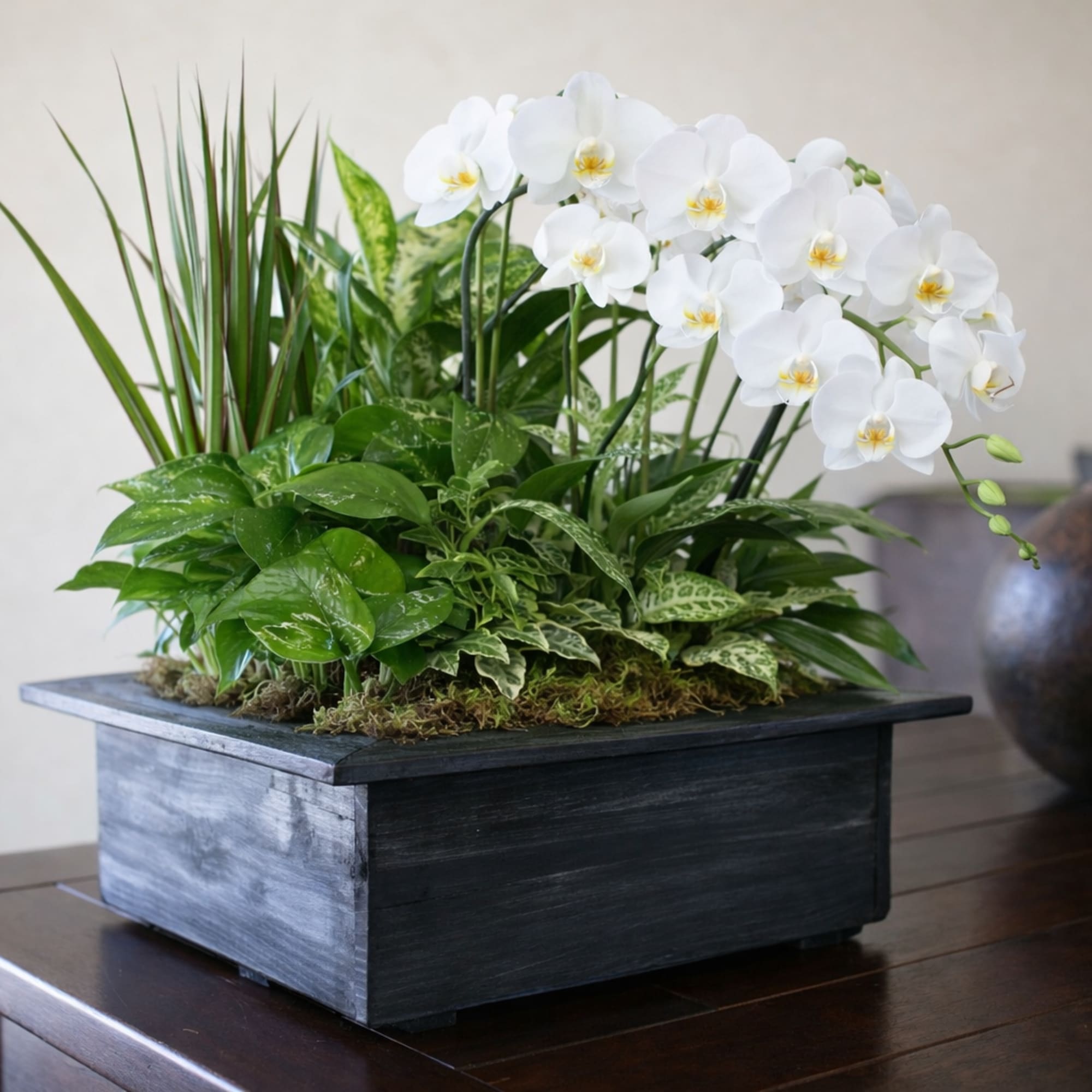 White orchid arrangement in a rectangular black planter
