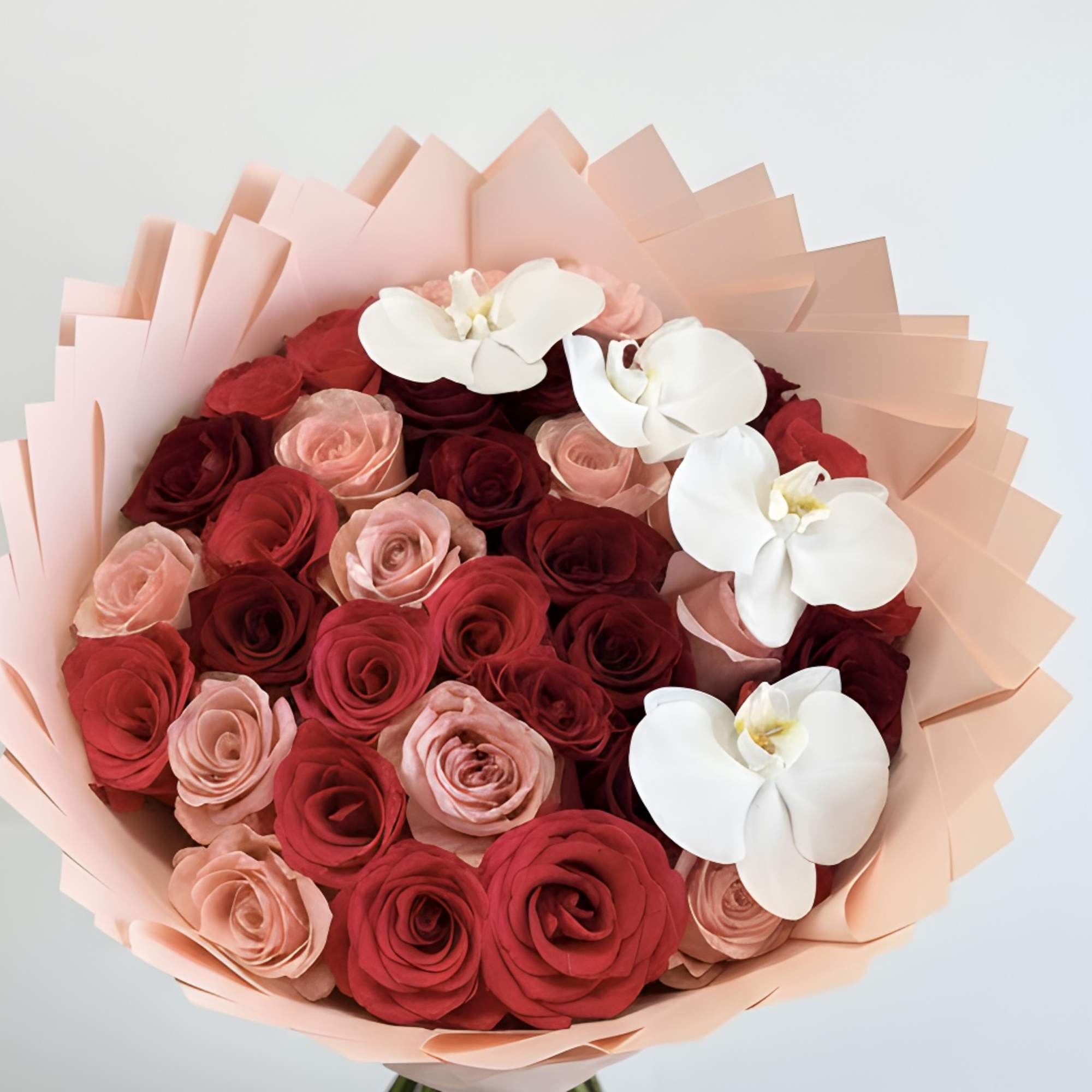 Bouquet of red and blush roses with white orchids in pale pink wrap