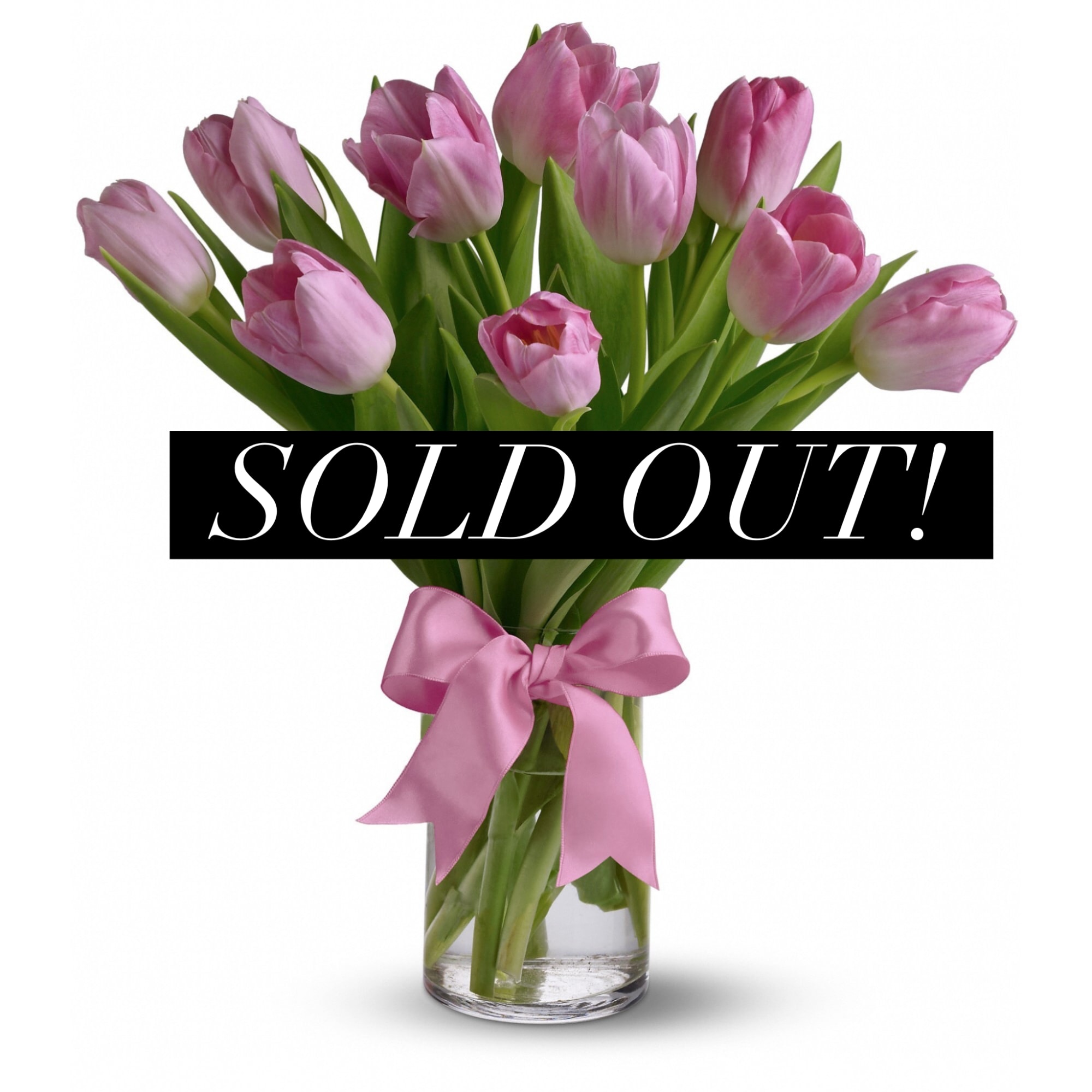 Pink tulips in a clear glass vase with a pink ribbon