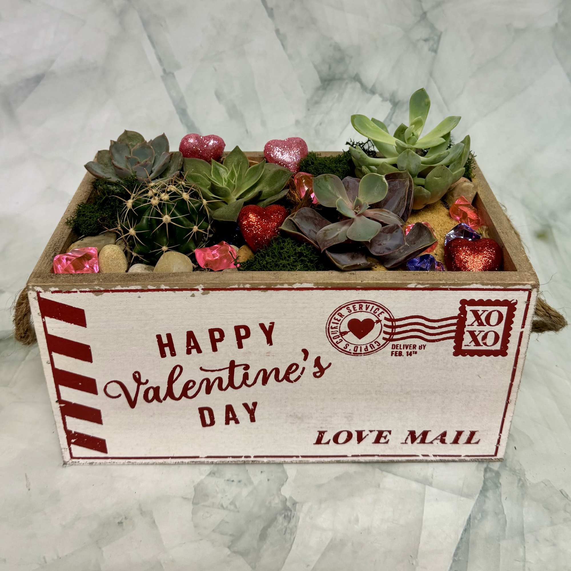 Succulents and a cactus in a Valentine-themed wooden box with heart decorations