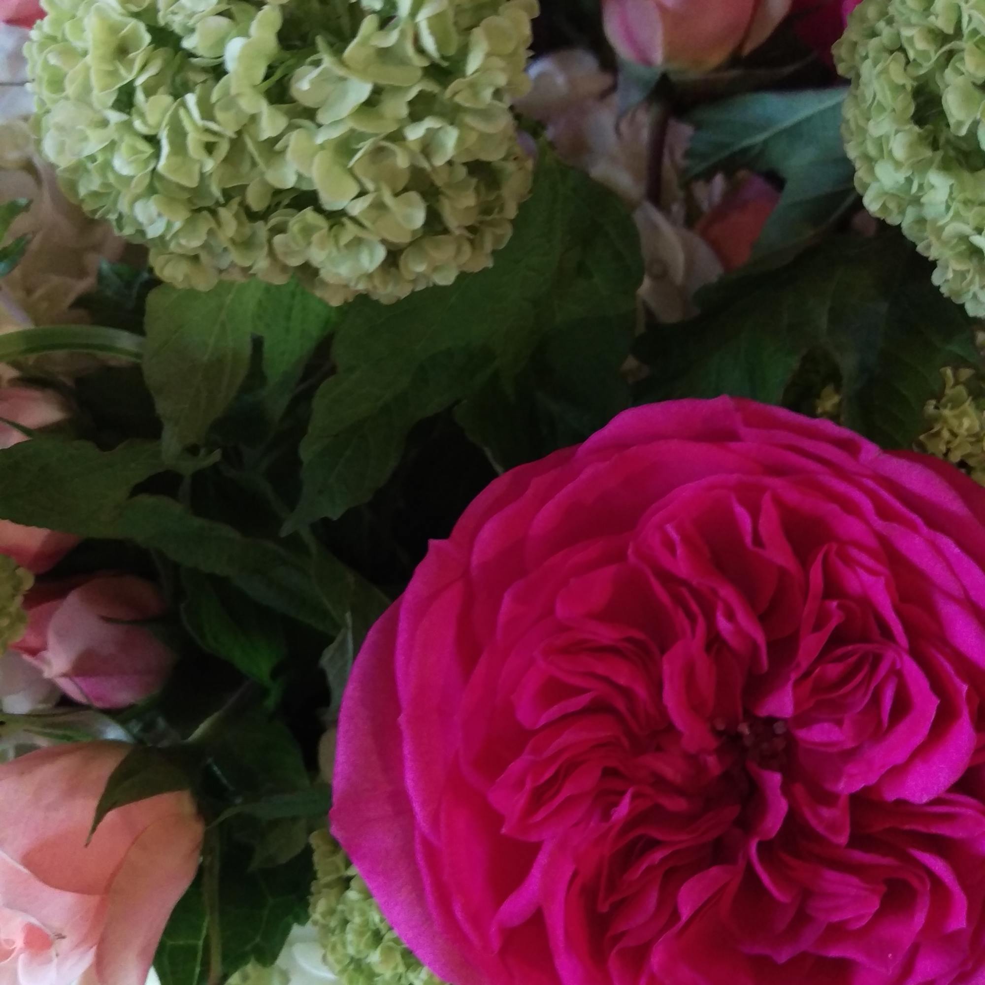 Bouquet of pink roses and green hydrangeas with white hydrangeas below
