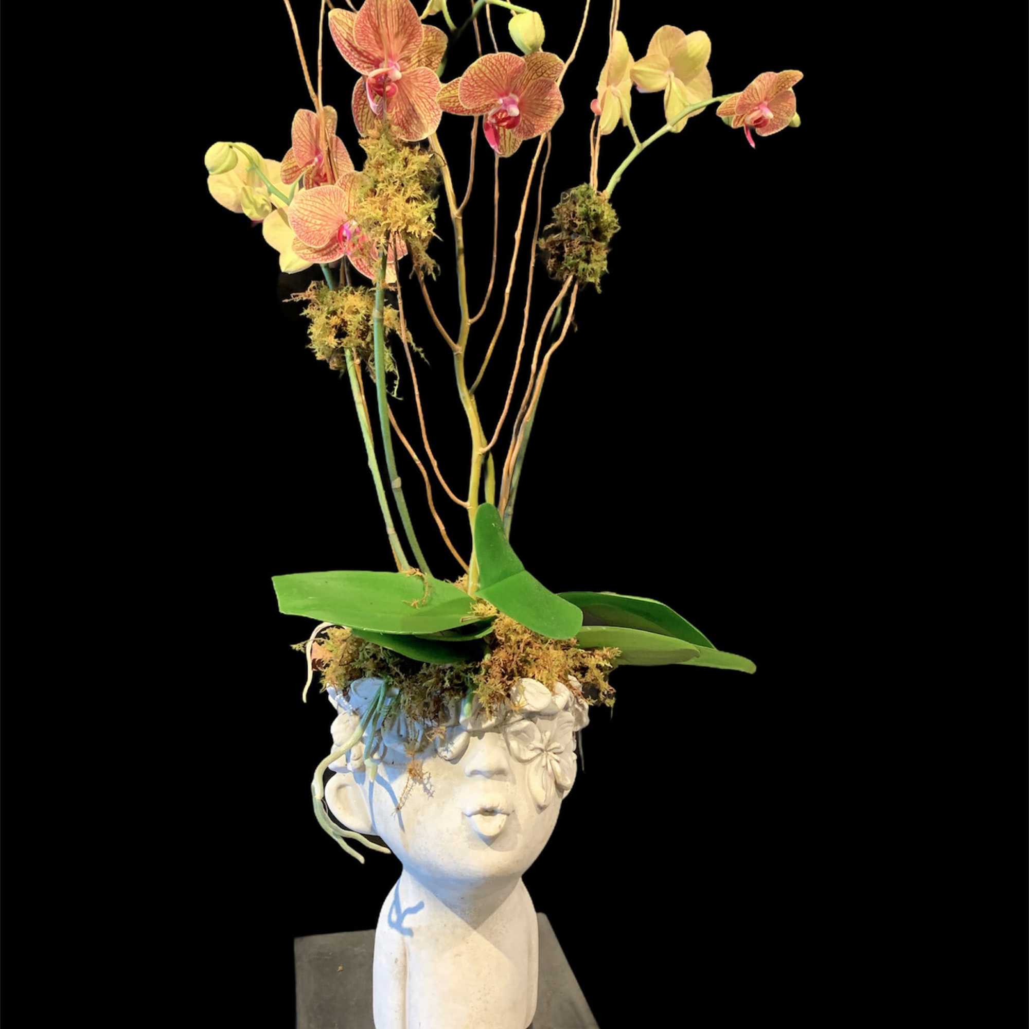 Vibrant orchid in distinctive face vase! ((Style of container AND colors of, photo 2 of 2