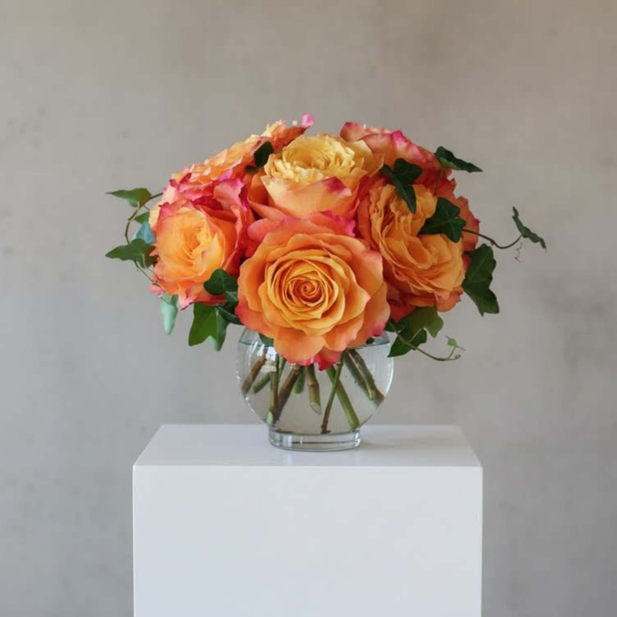 A gorgeous cluster of an amazing rose, Free Spirit. Considered a garden