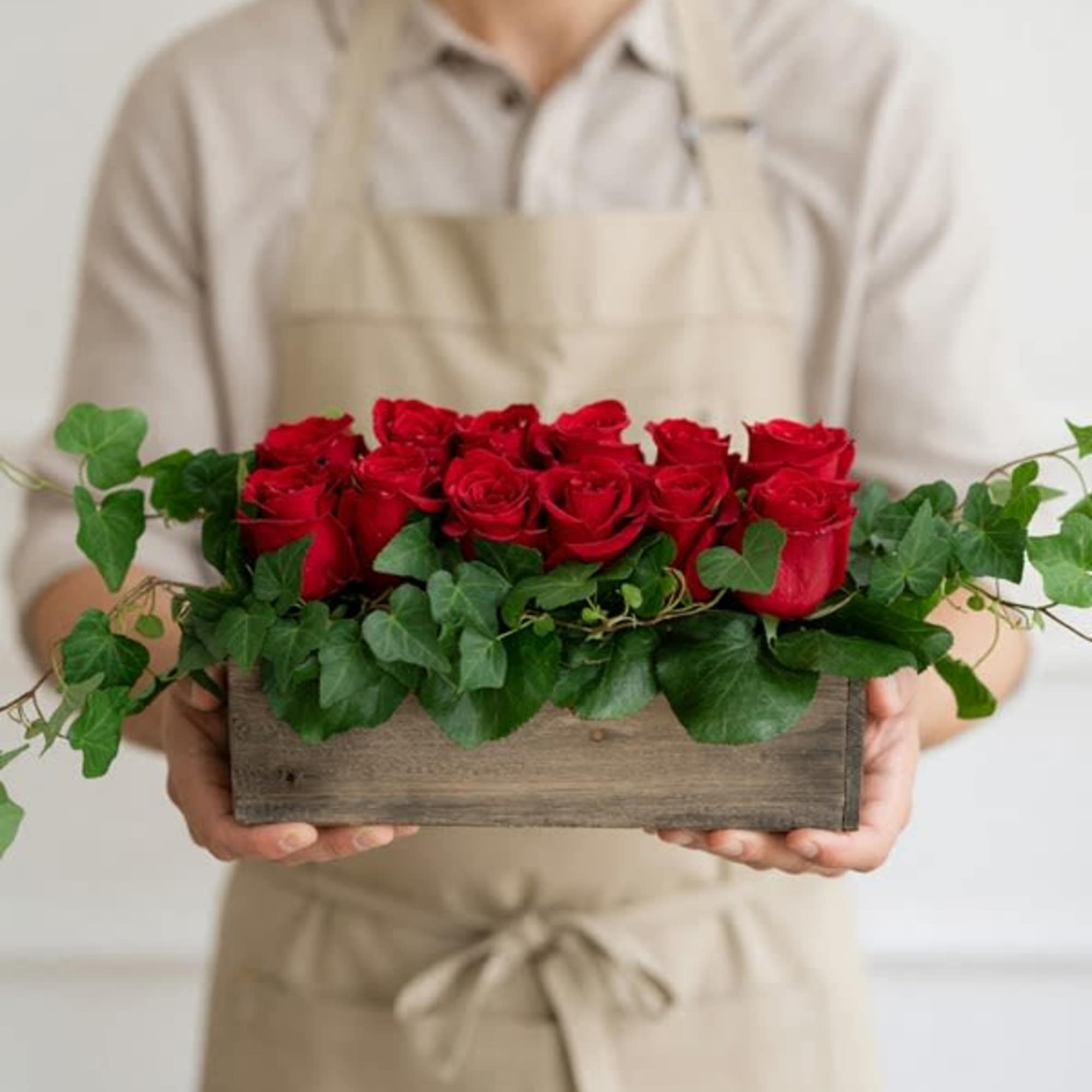 A dozen roses sitting pretty in two rows.. a hedge"rose" thicket. 