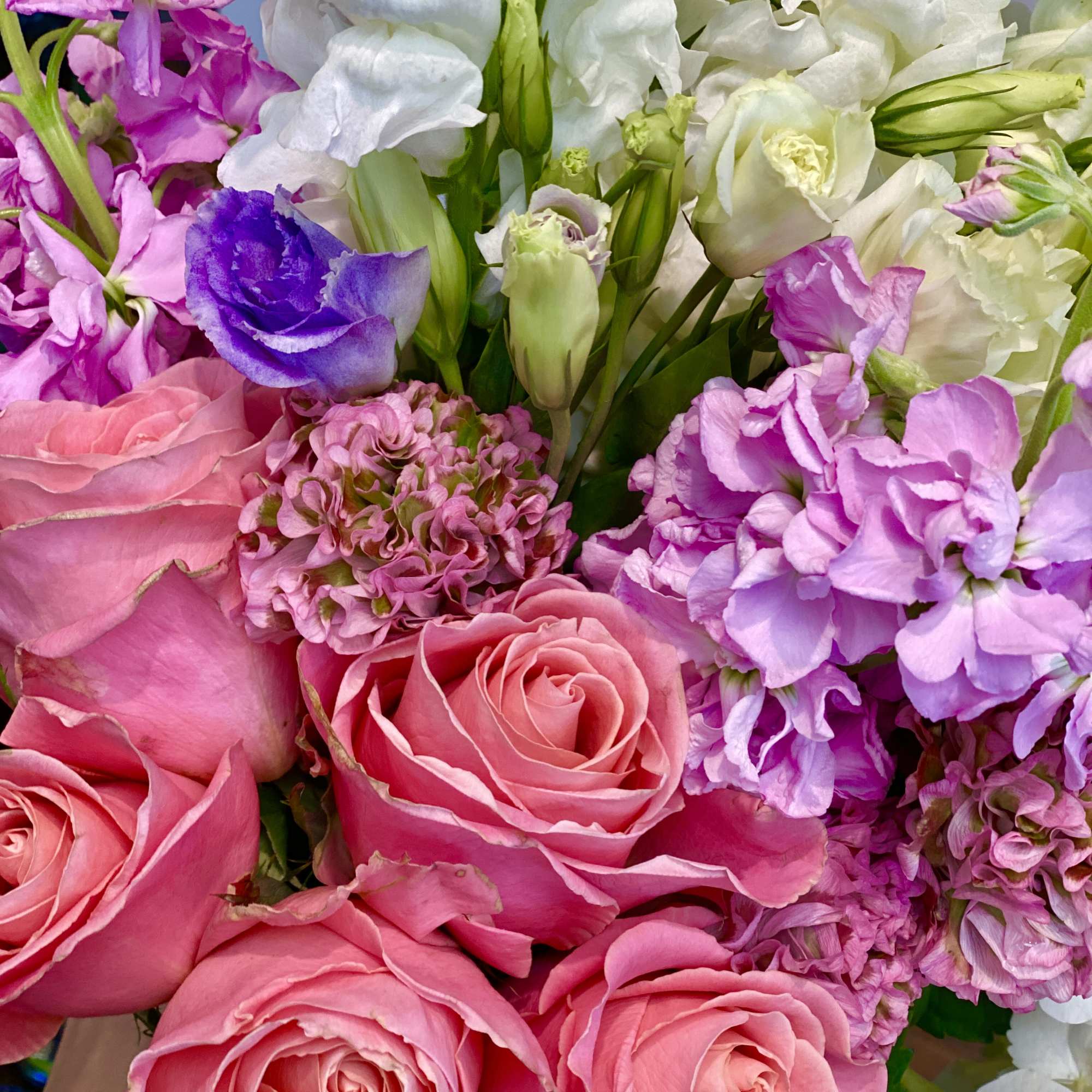Close-up of a mixed bouquet with pink roses, lavender stock, and white and purple lisianthus.