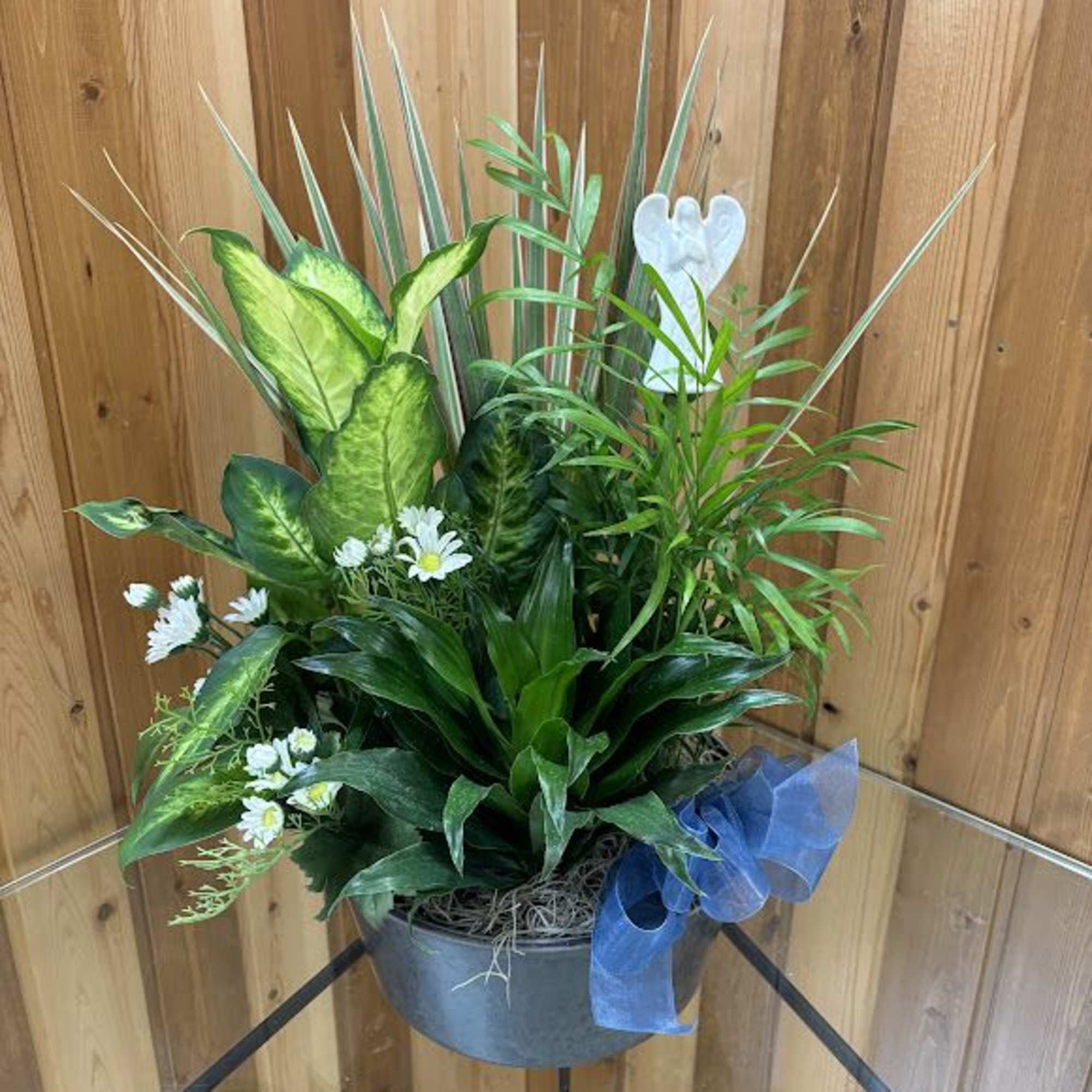 Green plant arrangement in a gray container with a blue ribbon