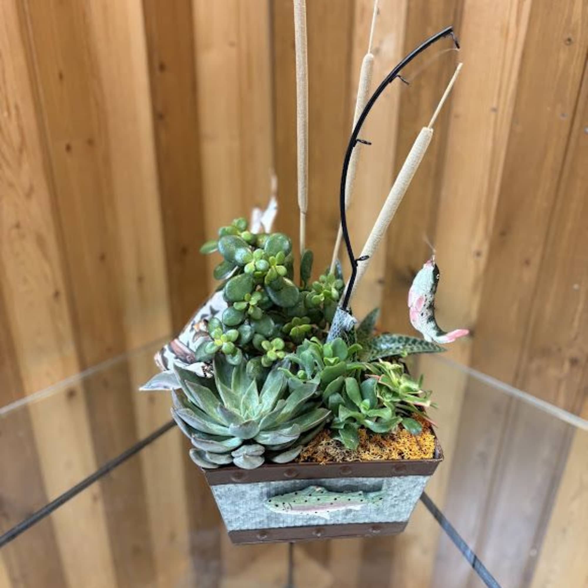 Succulent arrangement in a rectangular hanging planter with decorative stakes