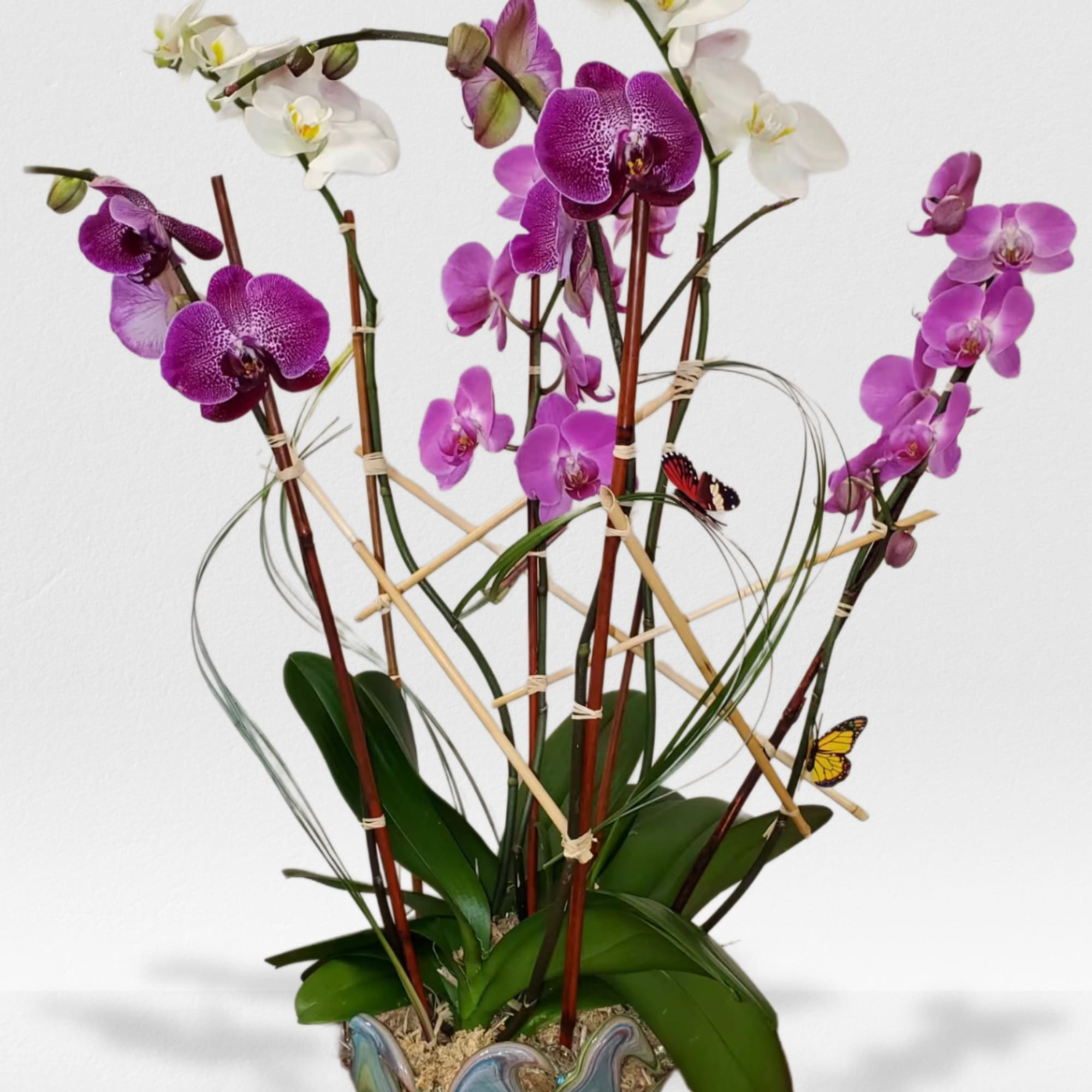 Tall planter of purple and white phalaenopsis orchids in a wavy multicolor ceramic pot with decorative butterflies.