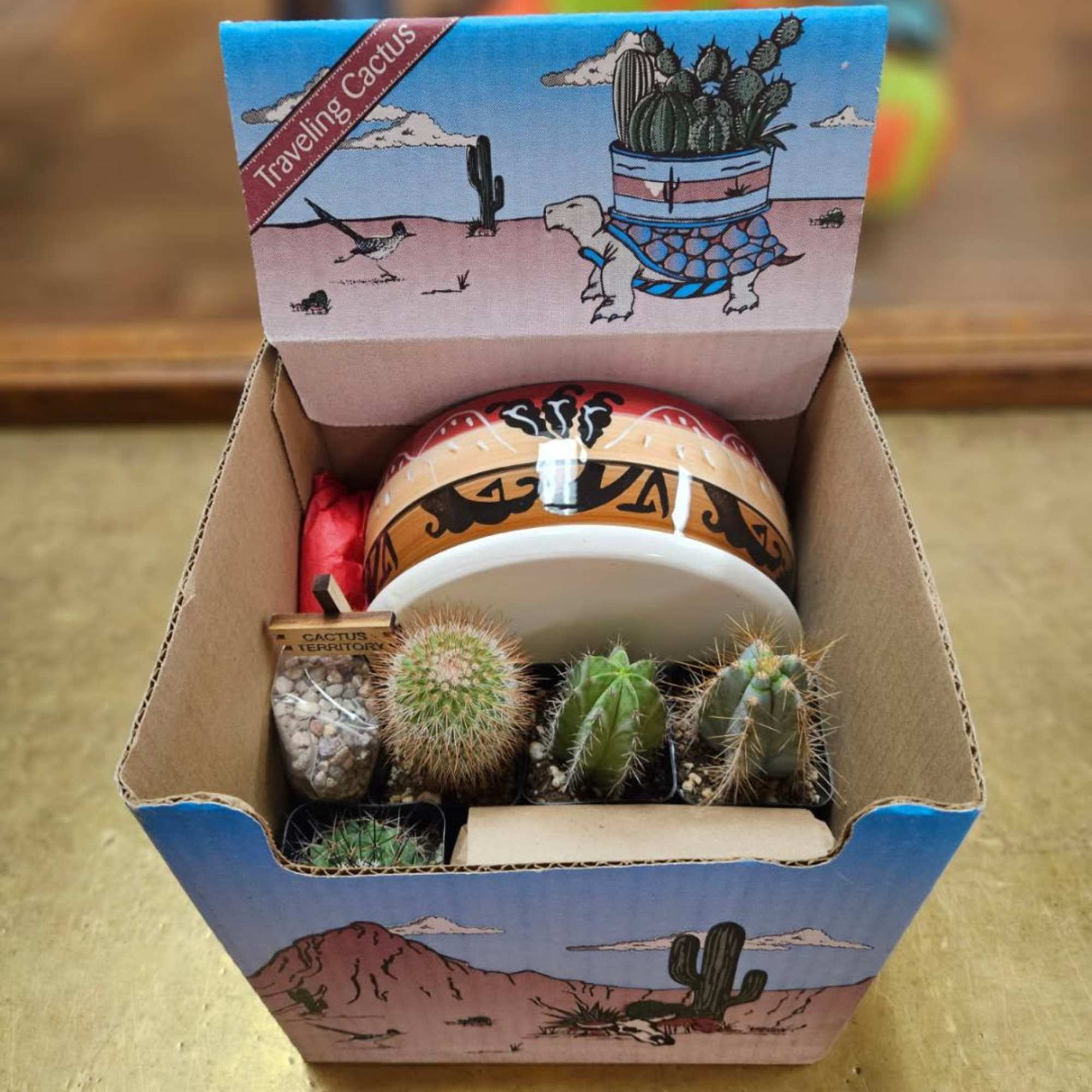 Traveling cactus kit - the fun is in assembling! Comes with pot