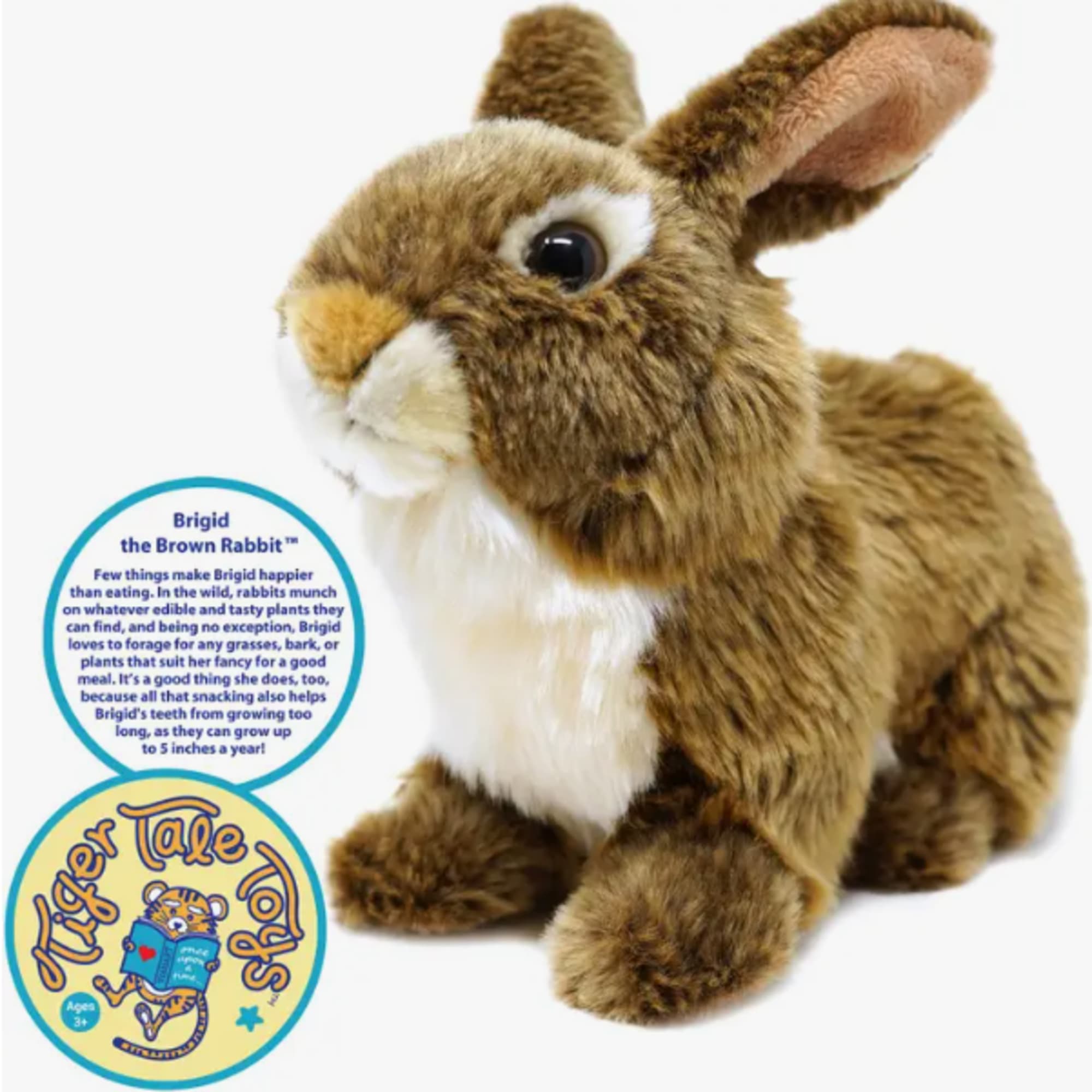 Plush brown rabbit toy with white chest and pink-lined ears