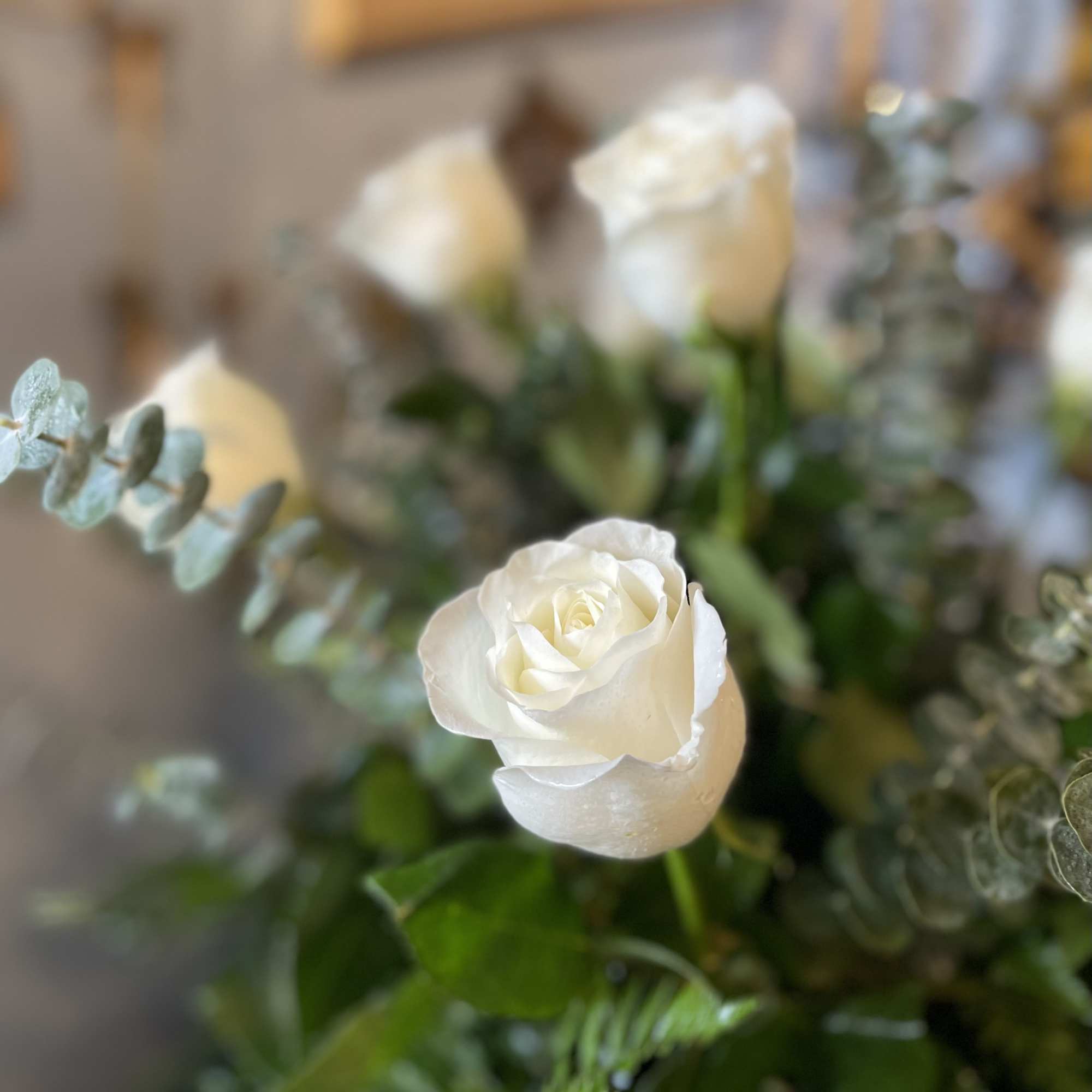 White roses in a bouquet with eucalyptus and greenery