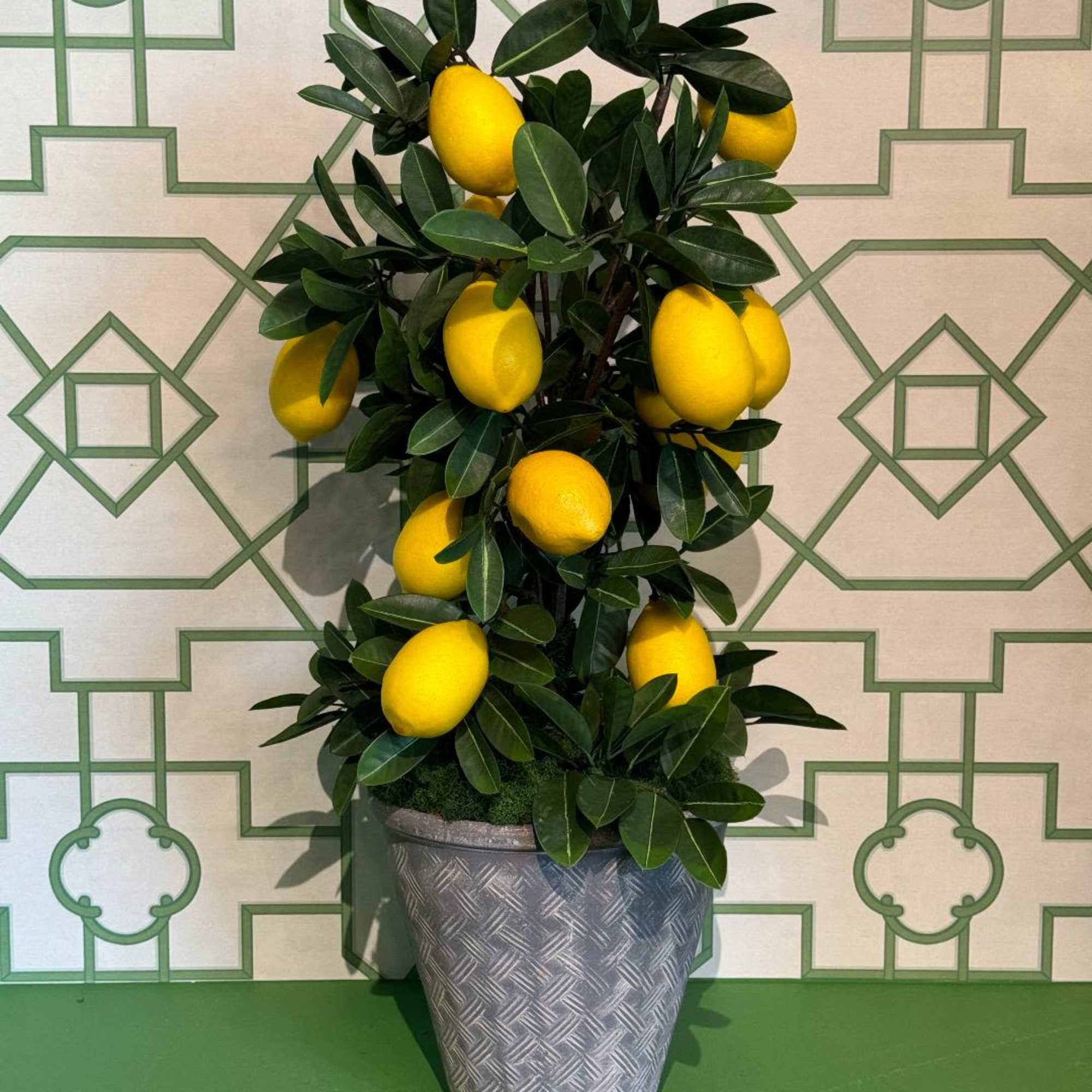Bring a touch of Mediterranean charm into your space with this realistic