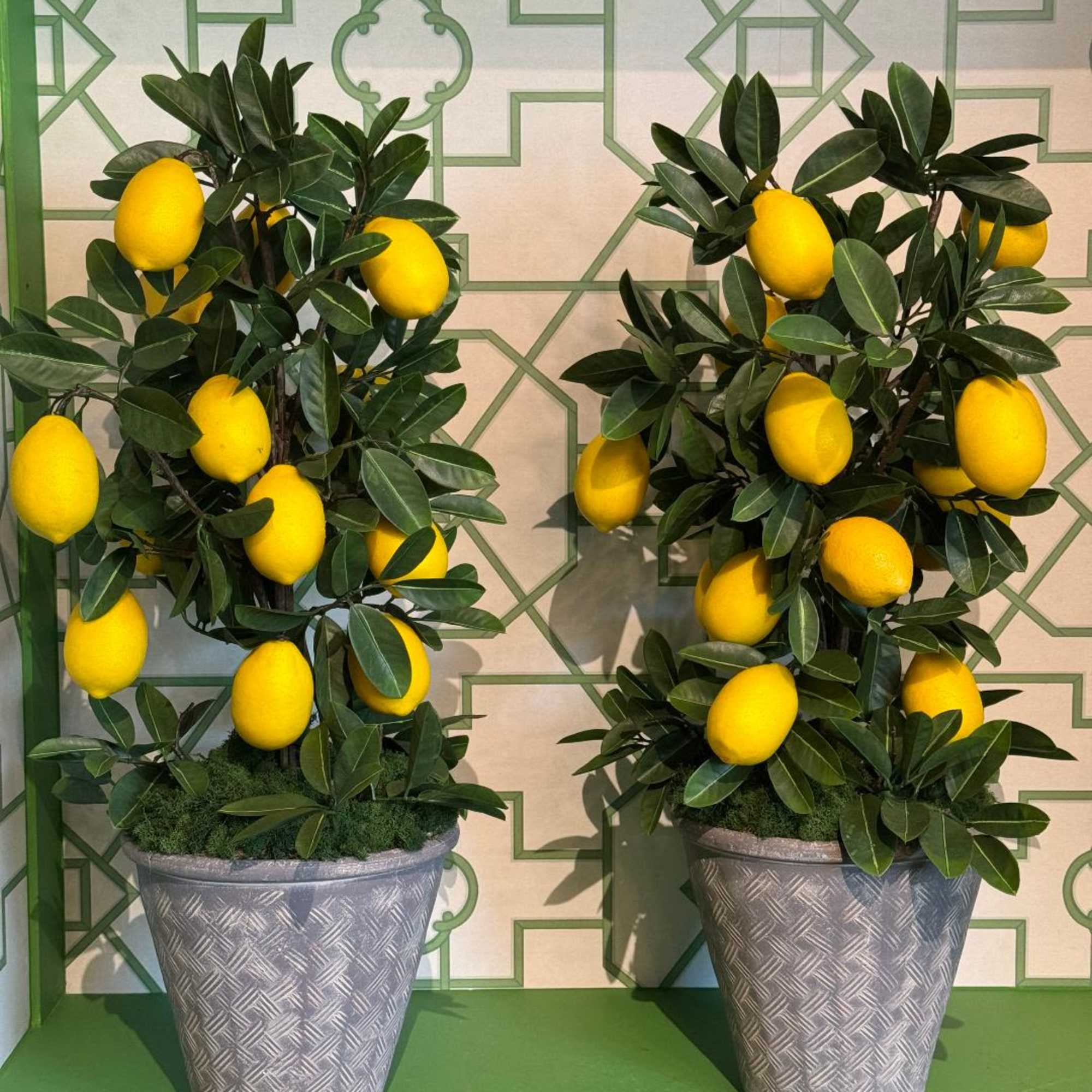 Bring a touch of Mediterranean charm into your space with this realistic, photo 3 of 4