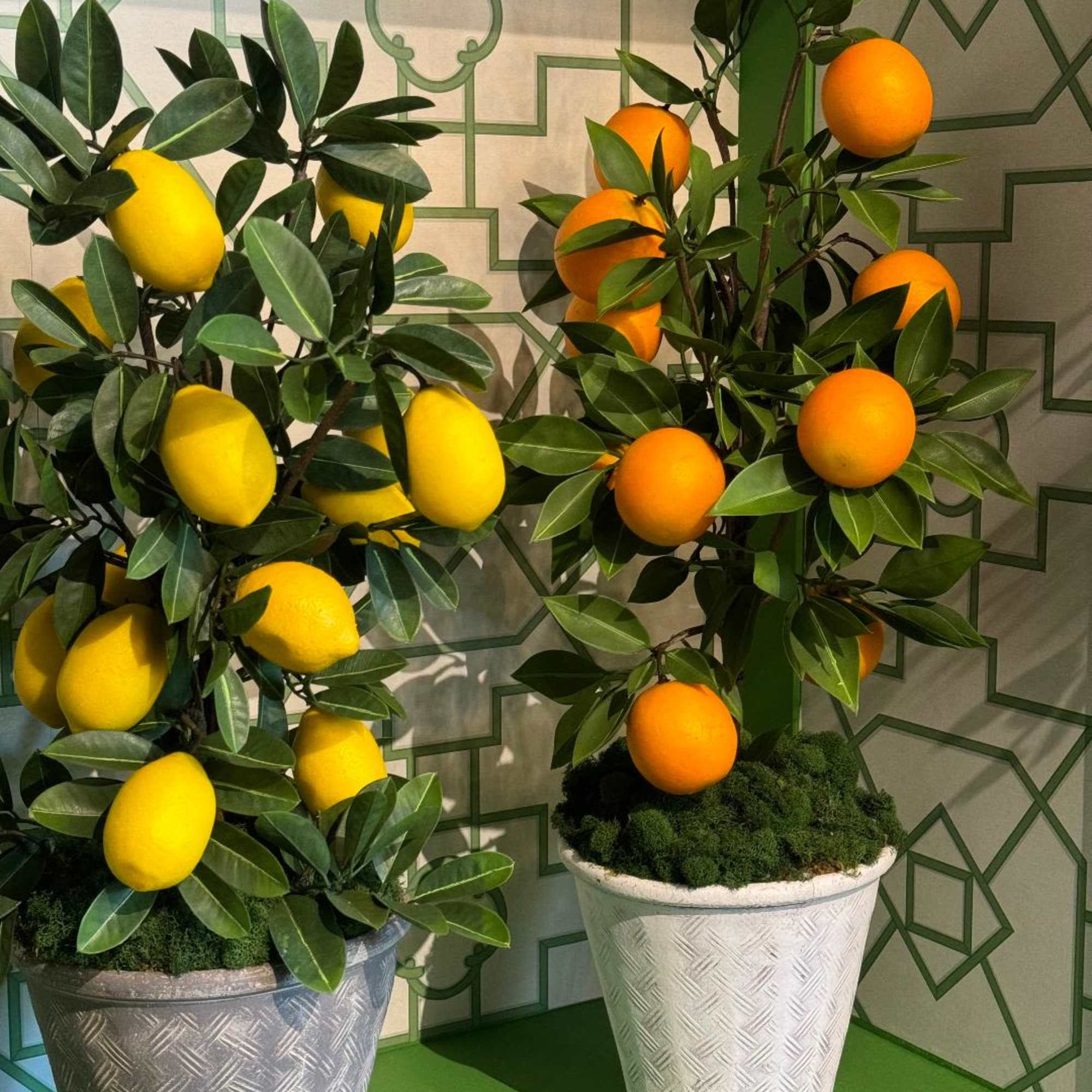 Bring a touch of Mediterranean charm into your space with this realistic, photo 4 of 4