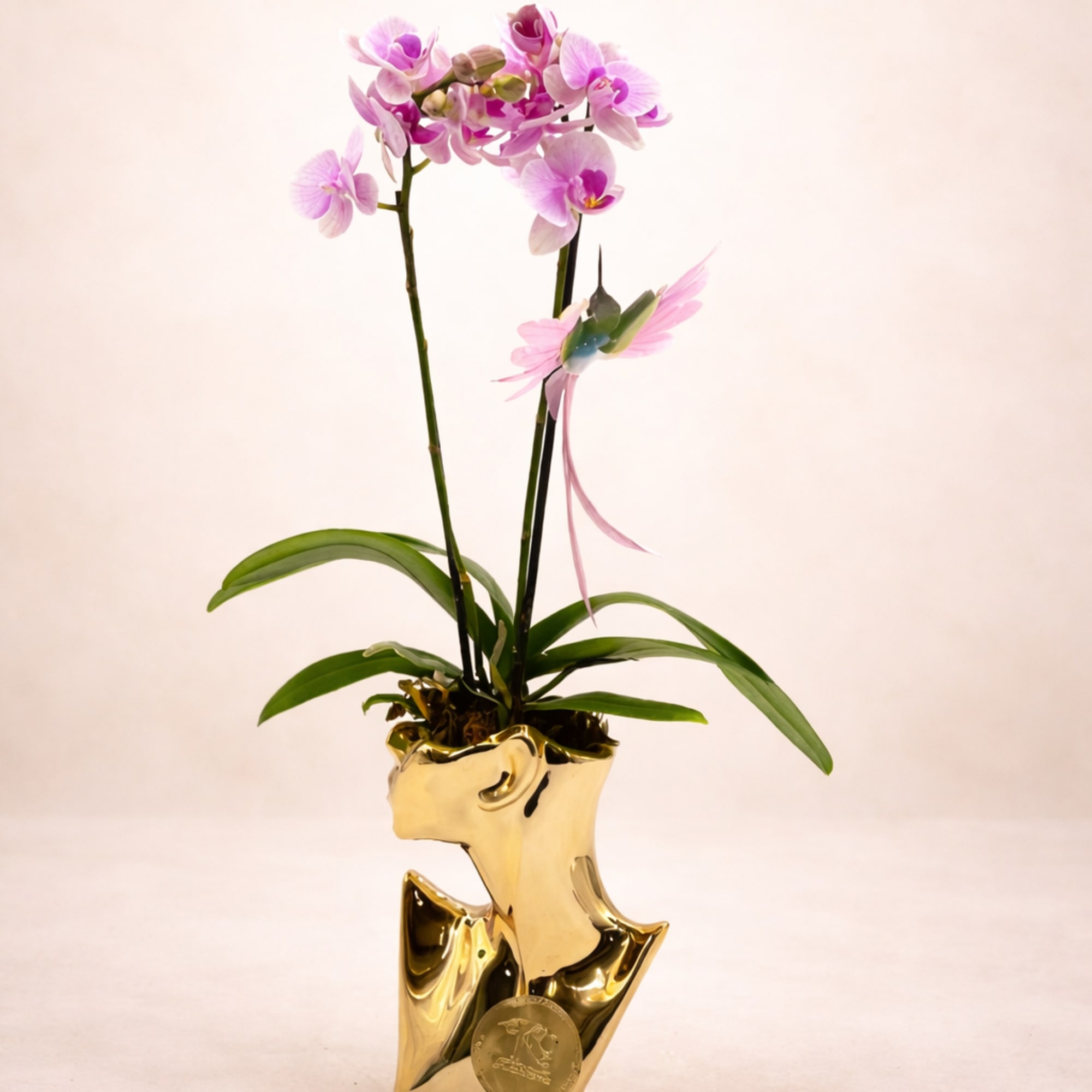 Pink orchid plant in a gold decorative pot