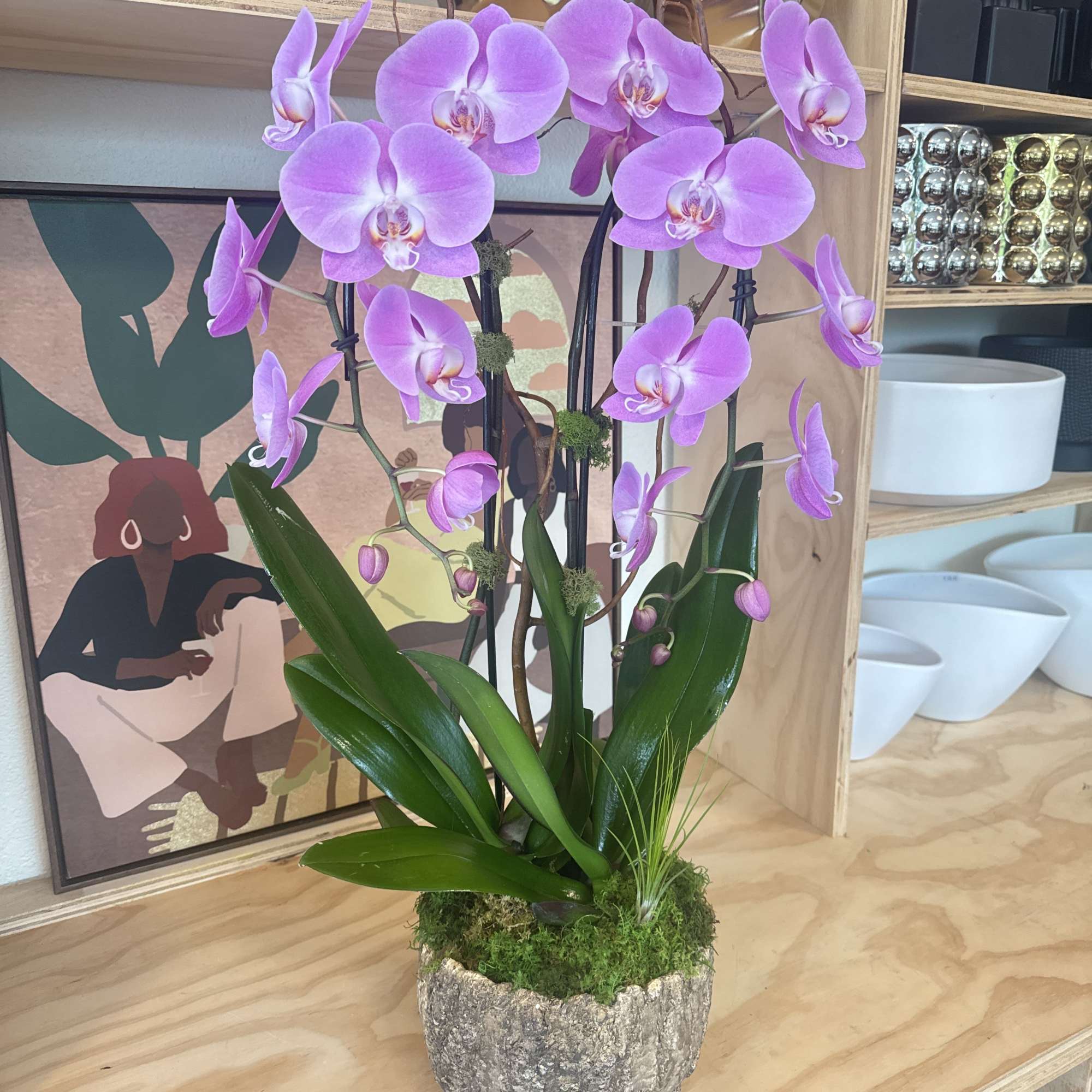Potted purple orchid arrangement in a textured stone container