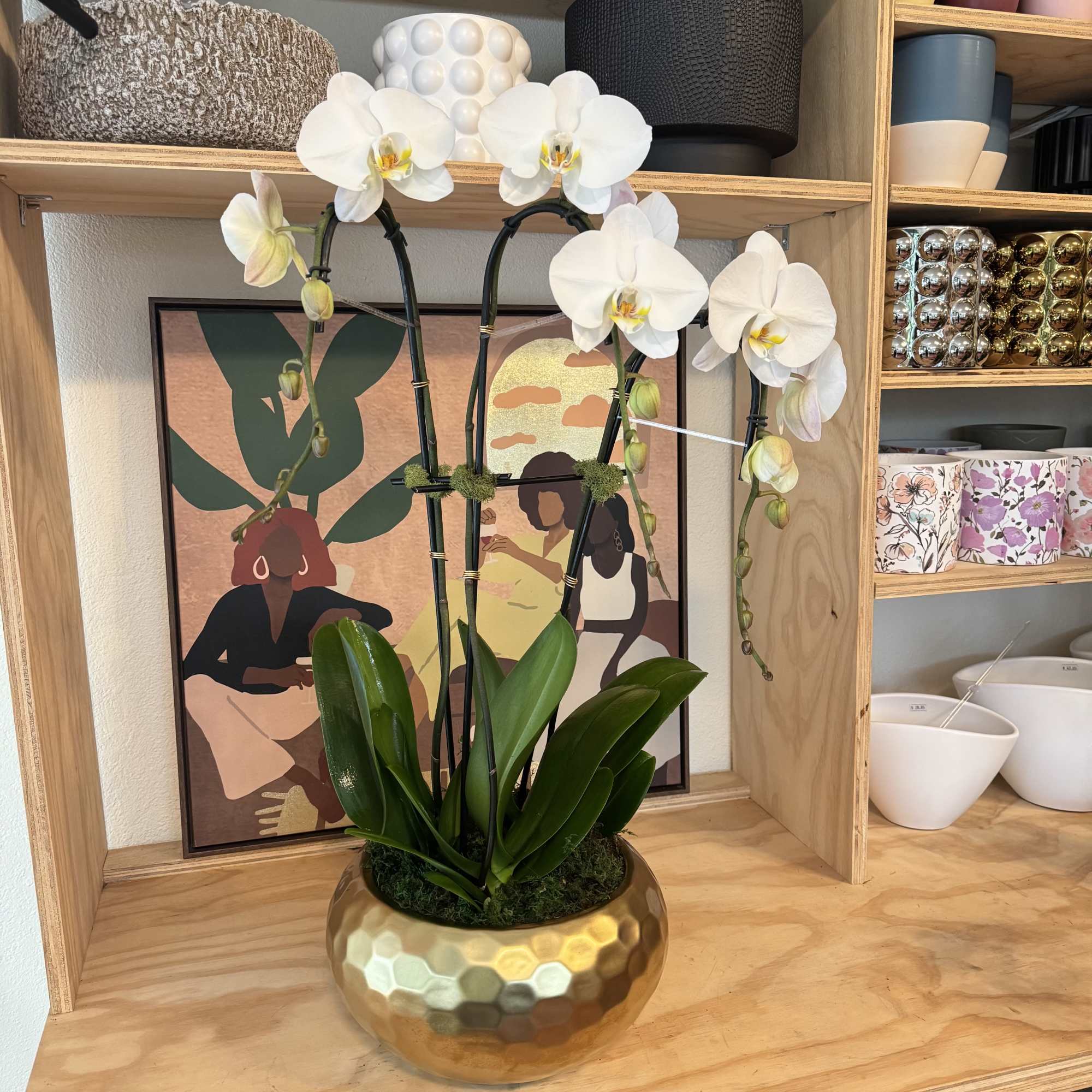 White orchid plant in a gold textured pot