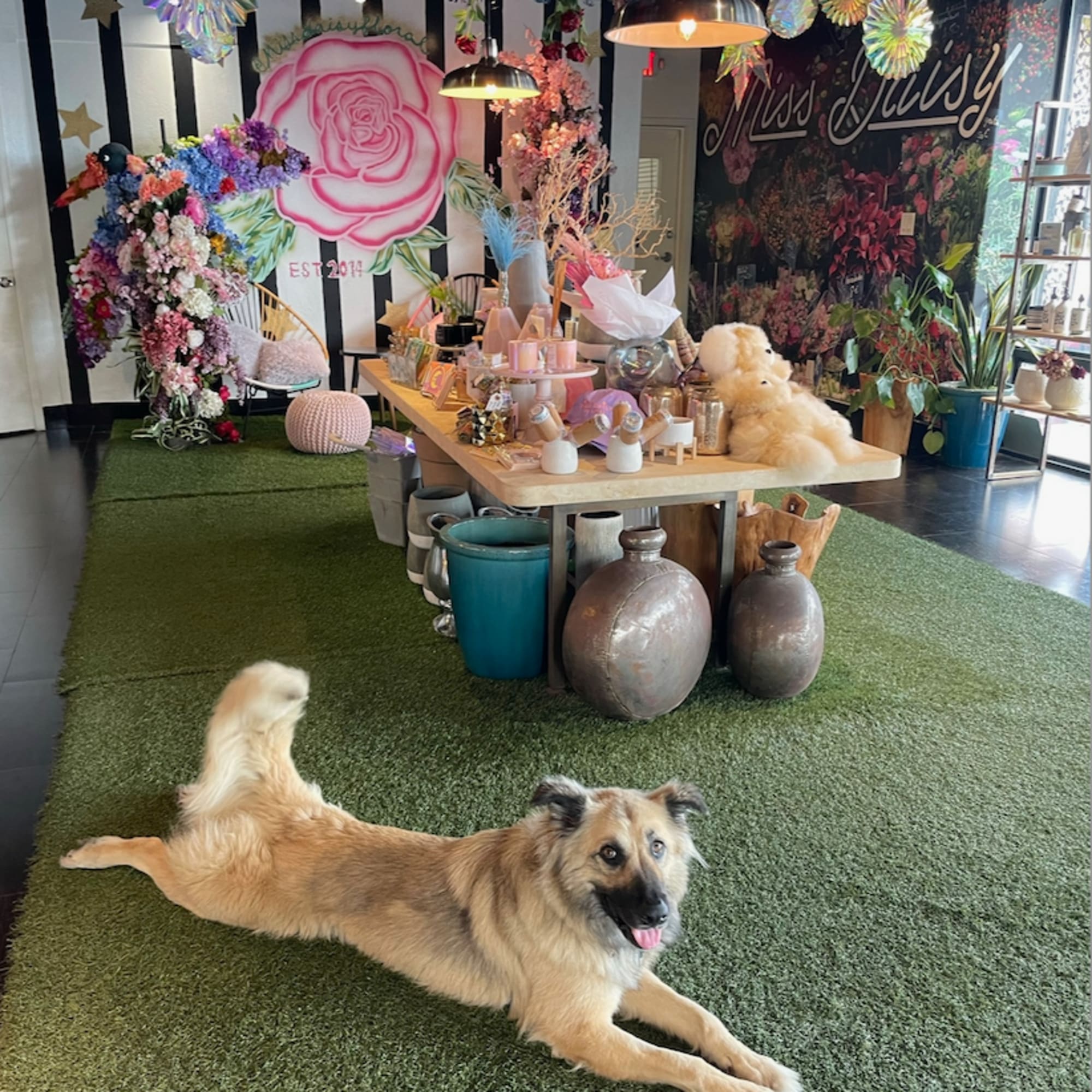 A dog lies on artificial grass in a flower shop with colorful floral displays.