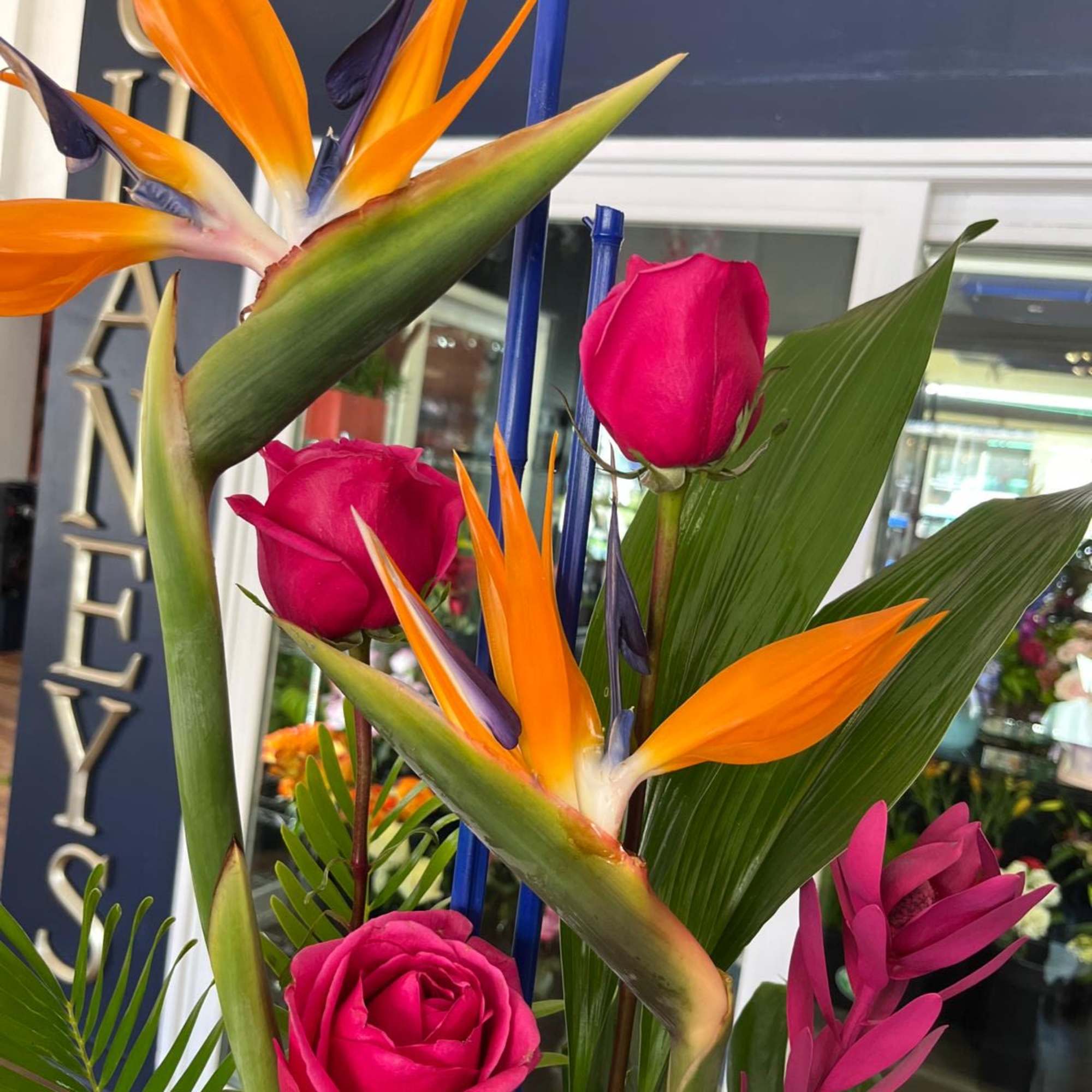 Tropical bouquet with pink roses and orange bird of paradise flowers