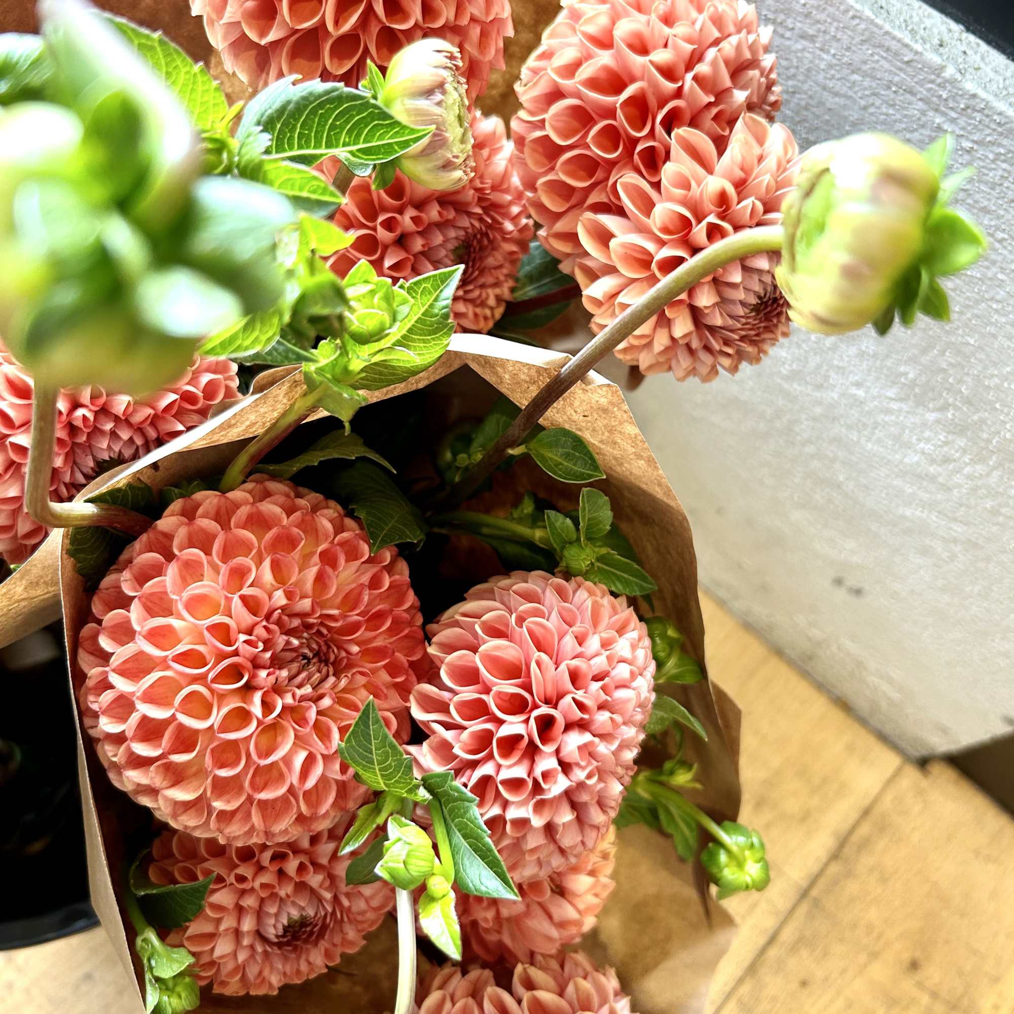 Bouquets of coral pompon dahlias wrapped in brown paper