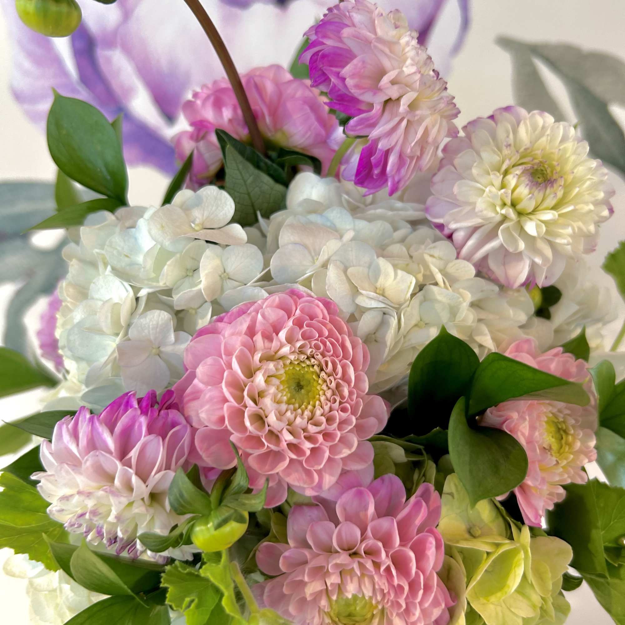 Pink and white dahlia bouquet with green foliage