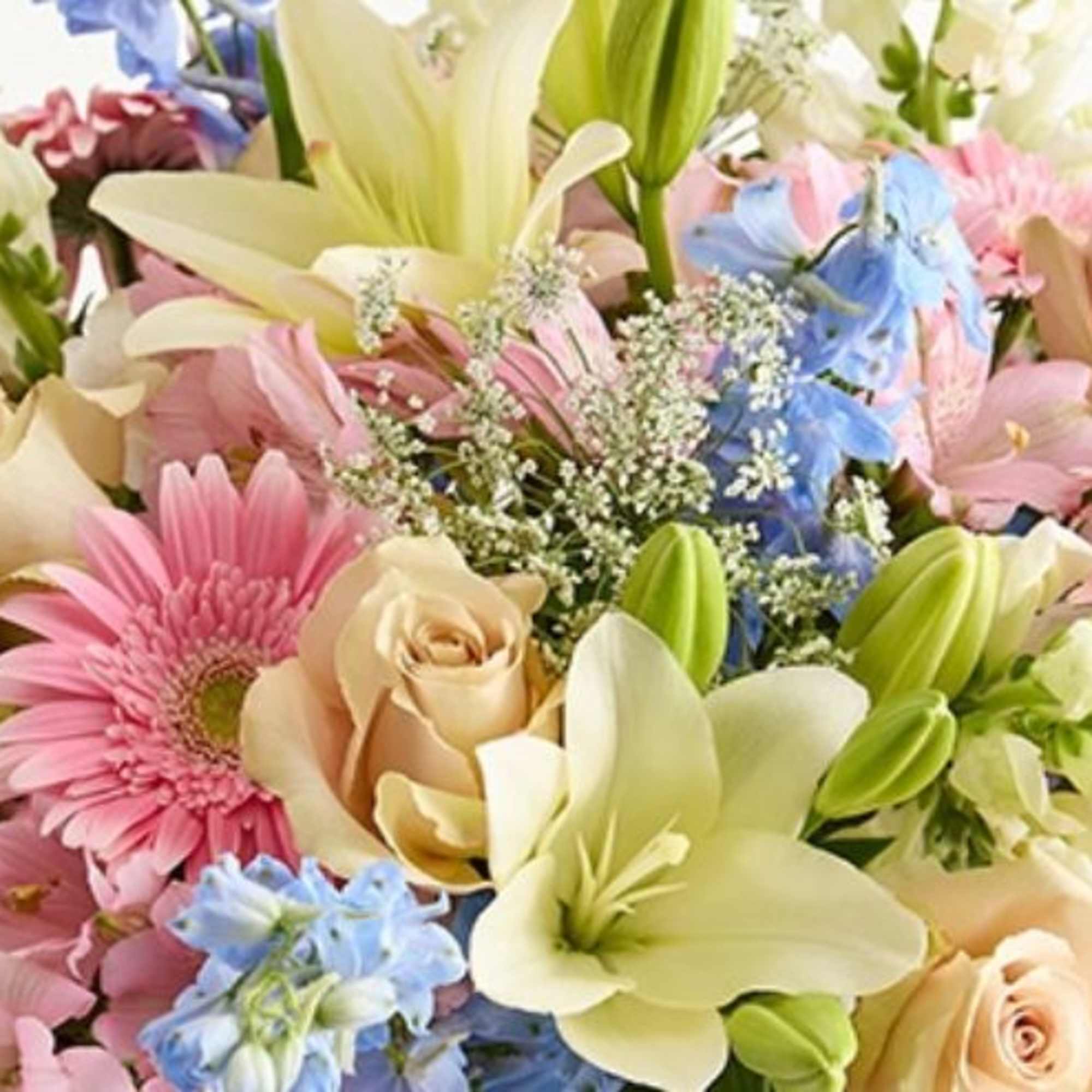 Premium and freshest flowers to make someone smile., photo 2 of 4