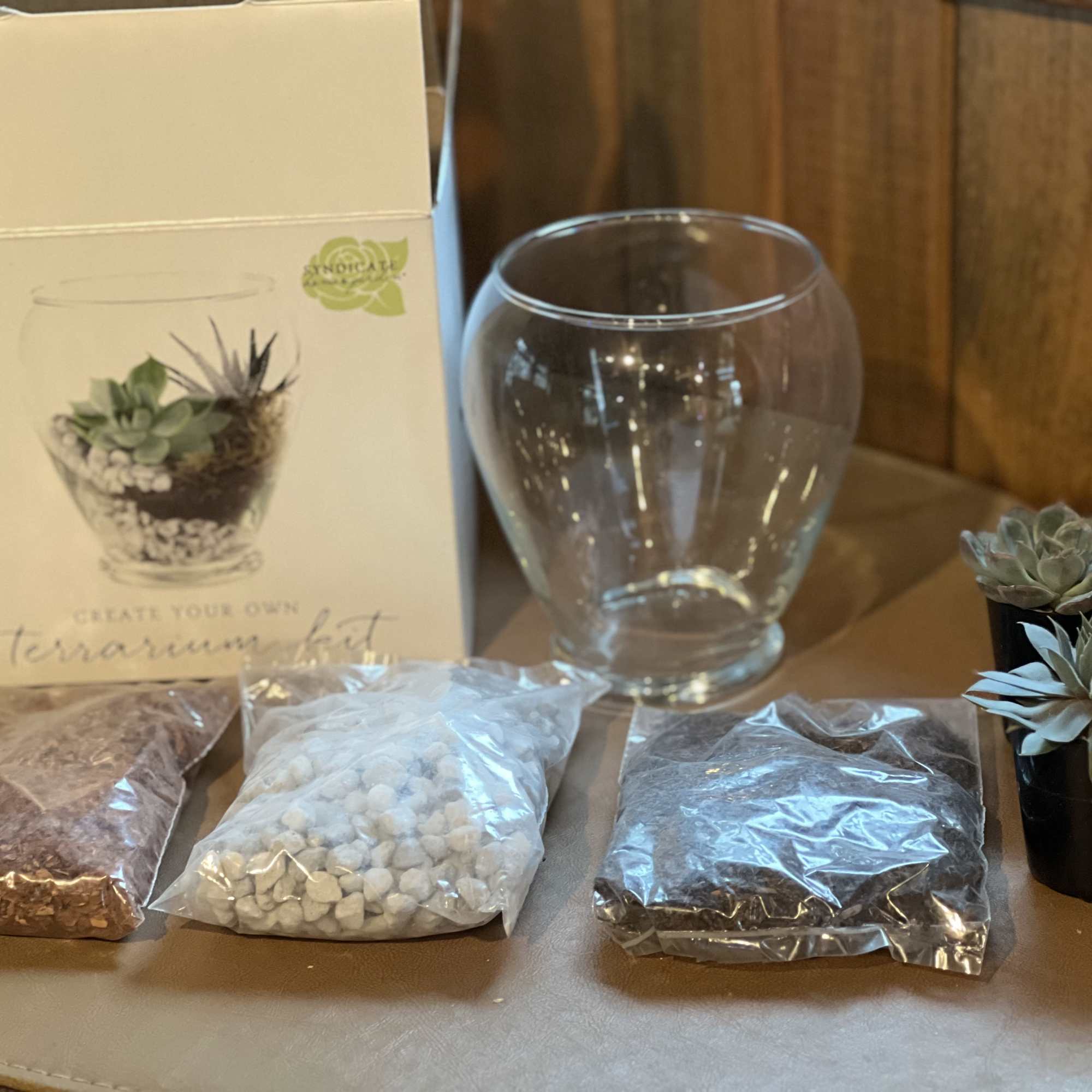 Succulent terrarium kit with glass bowl, soil, stones, and two small potted succulents