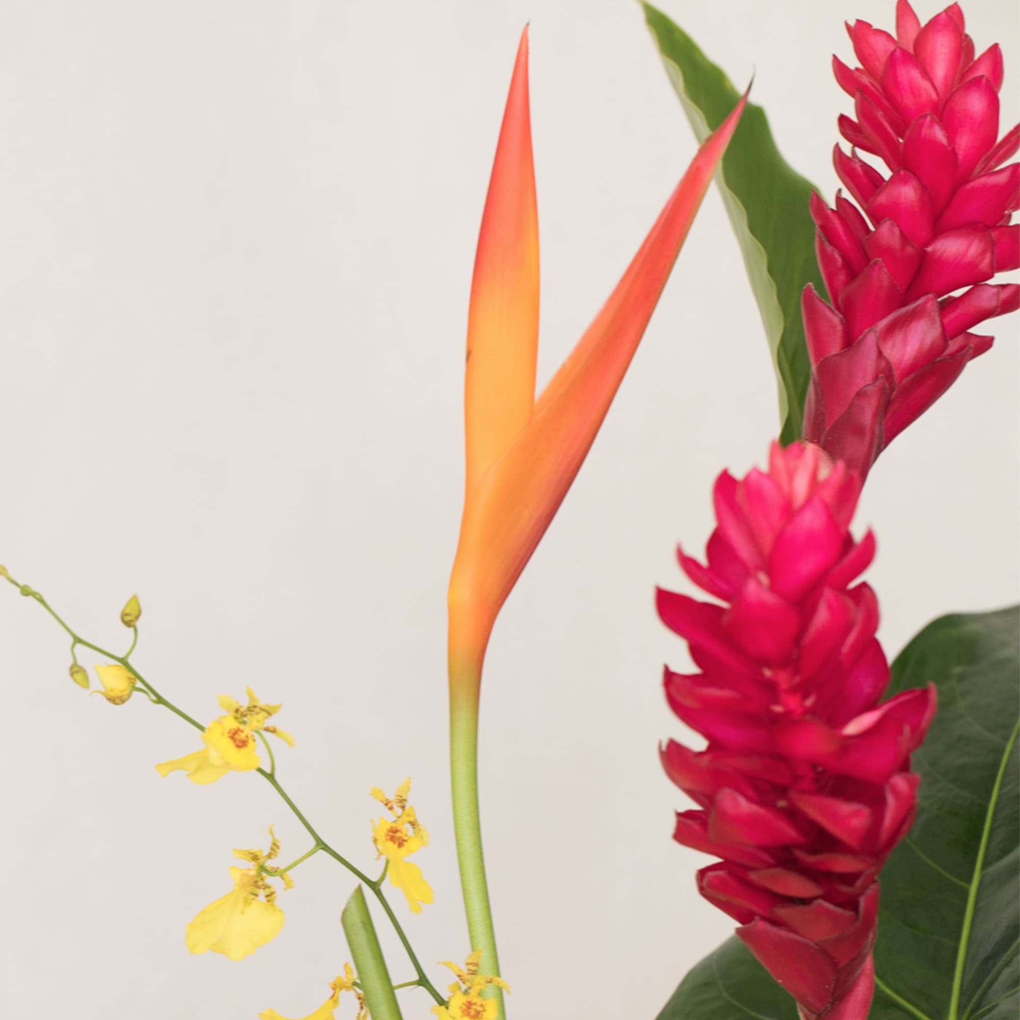 Tall tropical arrangement with orange bird-like bloom, red spikes, yellow orchids, and a large green leaf.