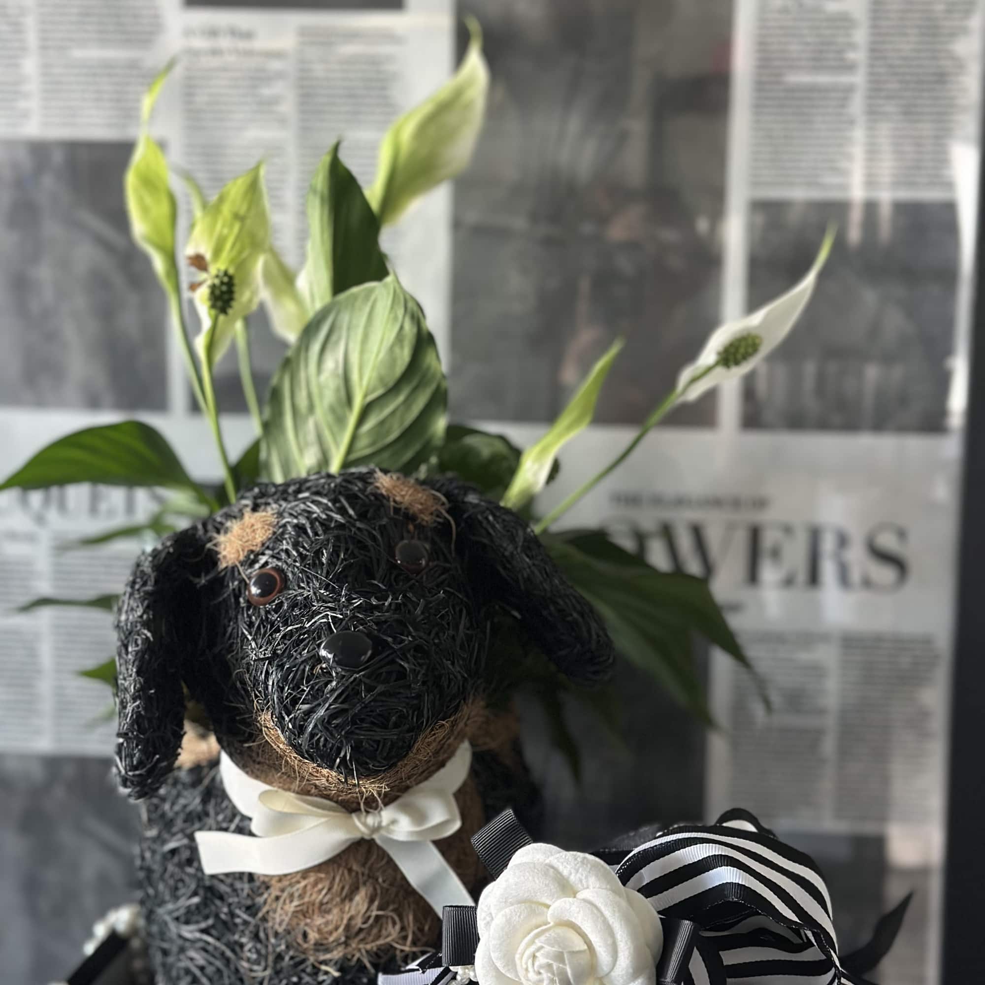 Black dog-shaped floral arrangement with white blooms and striped ribbon