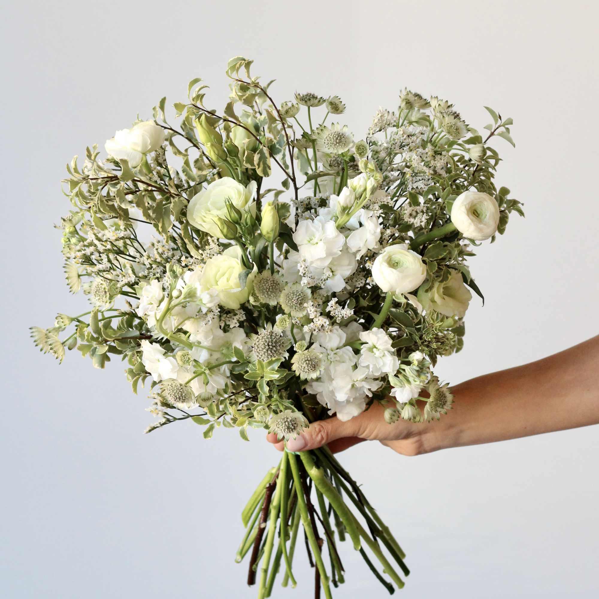 Handheld bouquet of white flowers and pale green blooms