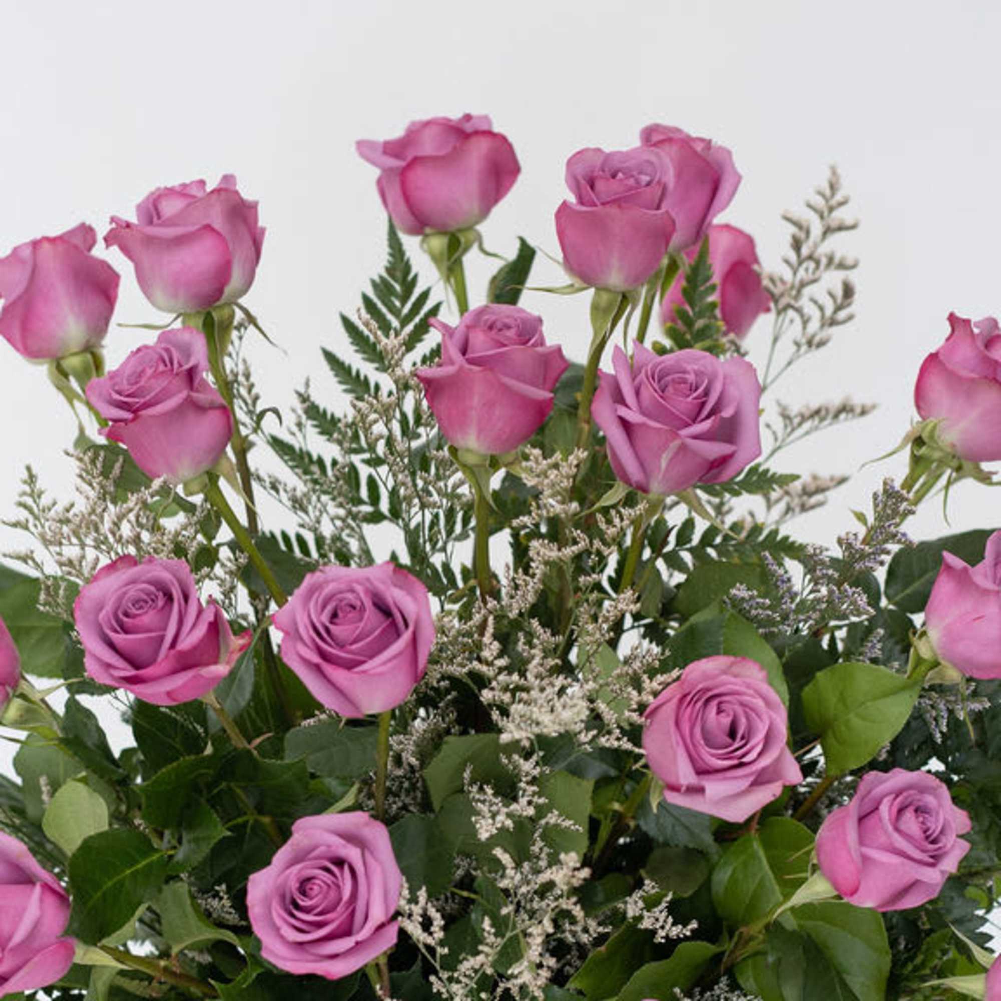 Bouquet of pink roses with fern-like filler on a white background